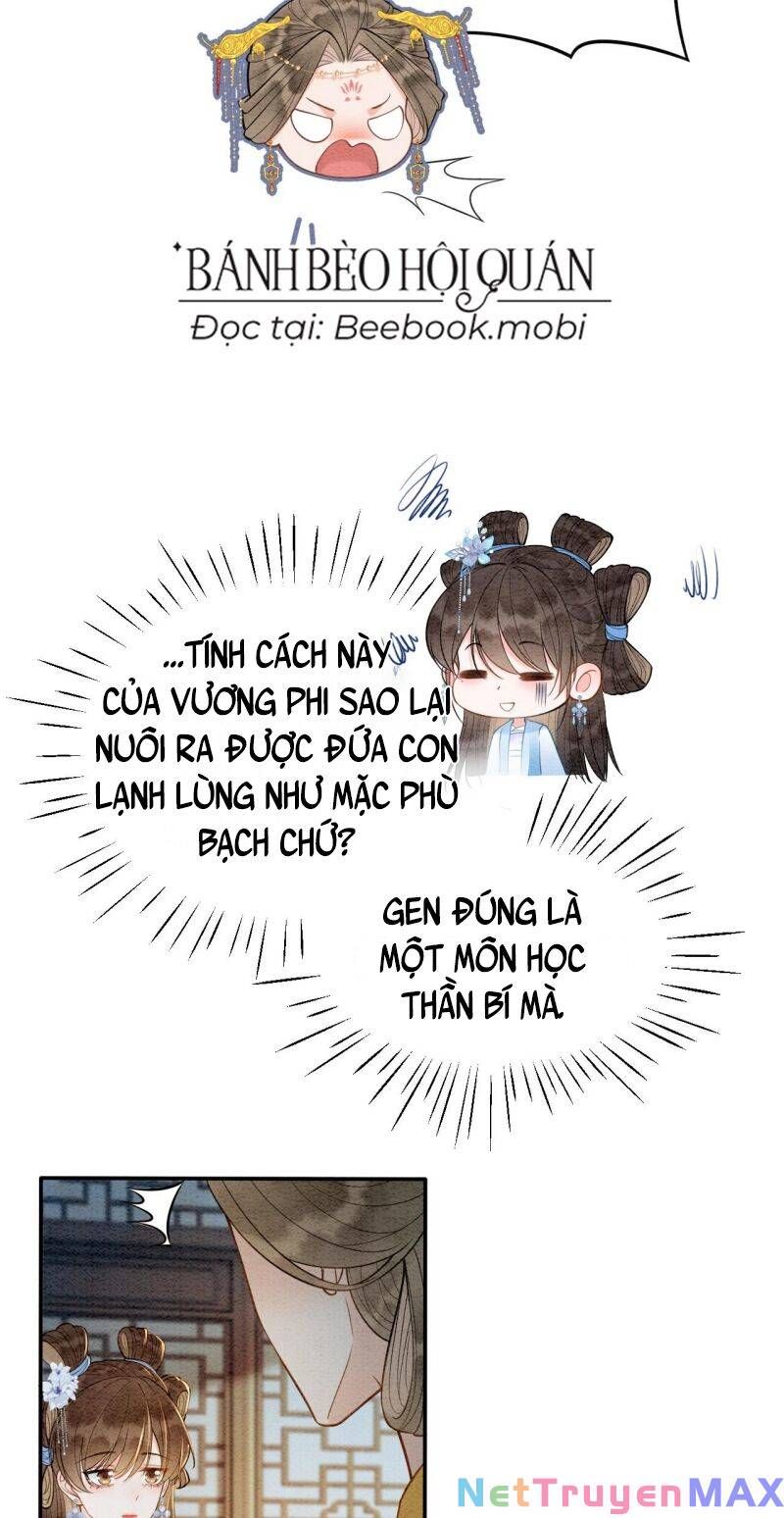 Sau Khi Nàng Bị Đánh Chết, Các Anh Trai Đều Hối Hận! Chapter 7 - Trang 2