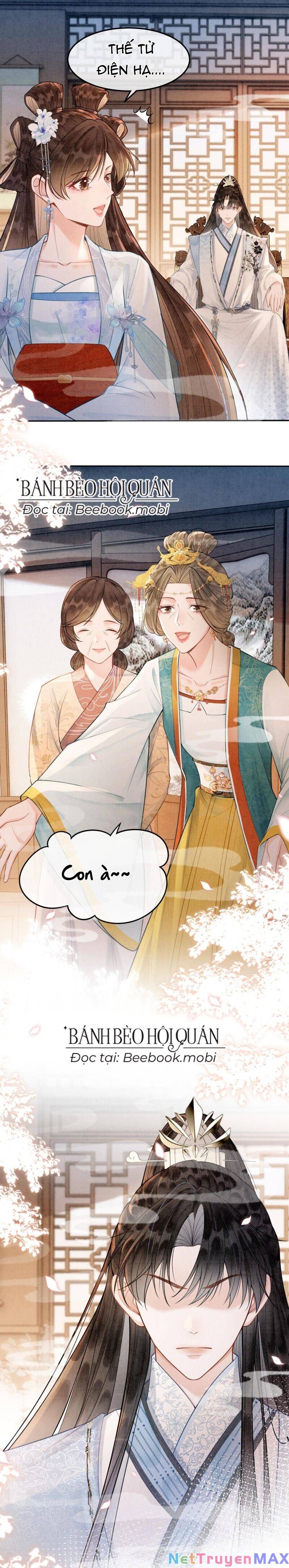 Sau Khi Nàng Bị Đánh Chết, Các Anh Trai Đều Hối Hận! Chapter 8 - Trang 2