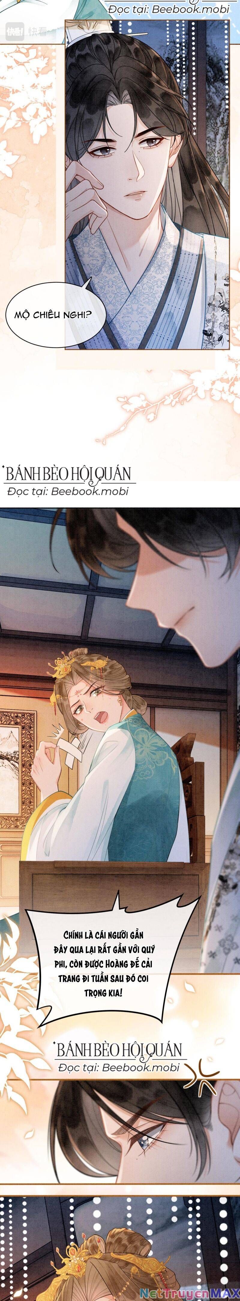 Sau Khi Nàng Bị Đánh Chết, Các Anh Trai Đều Hối Hận! Chapter 8 - Trang 2