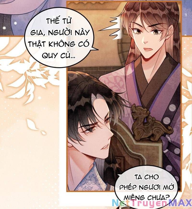 Sau Khi Nàng Bị Đánh Chết, Các Anh Trai Đều Hối Hận! Chapter 11 - Trang 2