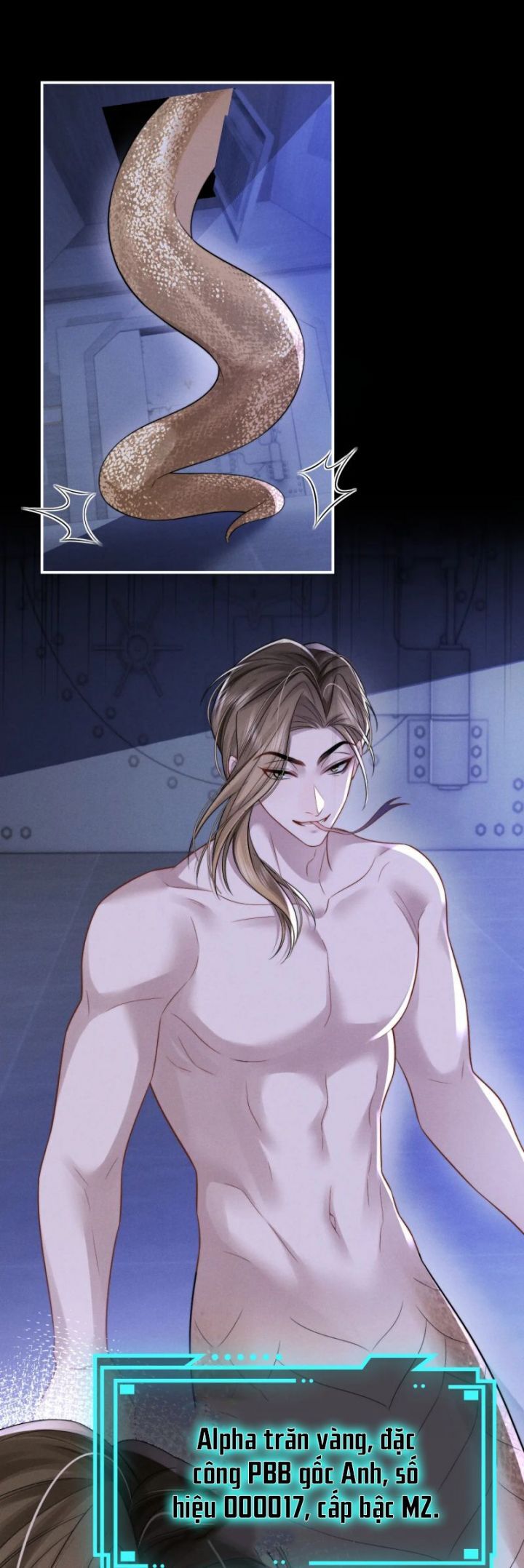Chấp Sự Thỏ Cụp Tai Chapter 165 - Trang 2