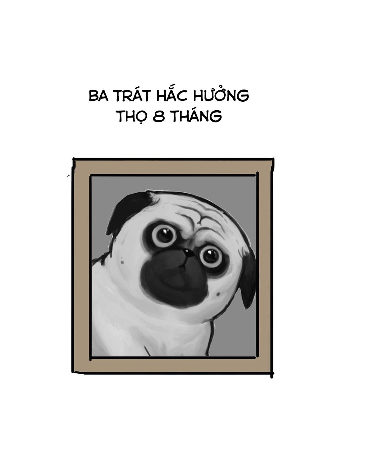 Hoàng Thượng Và Ba Trát Hắc Chapter 43 - Trang 2