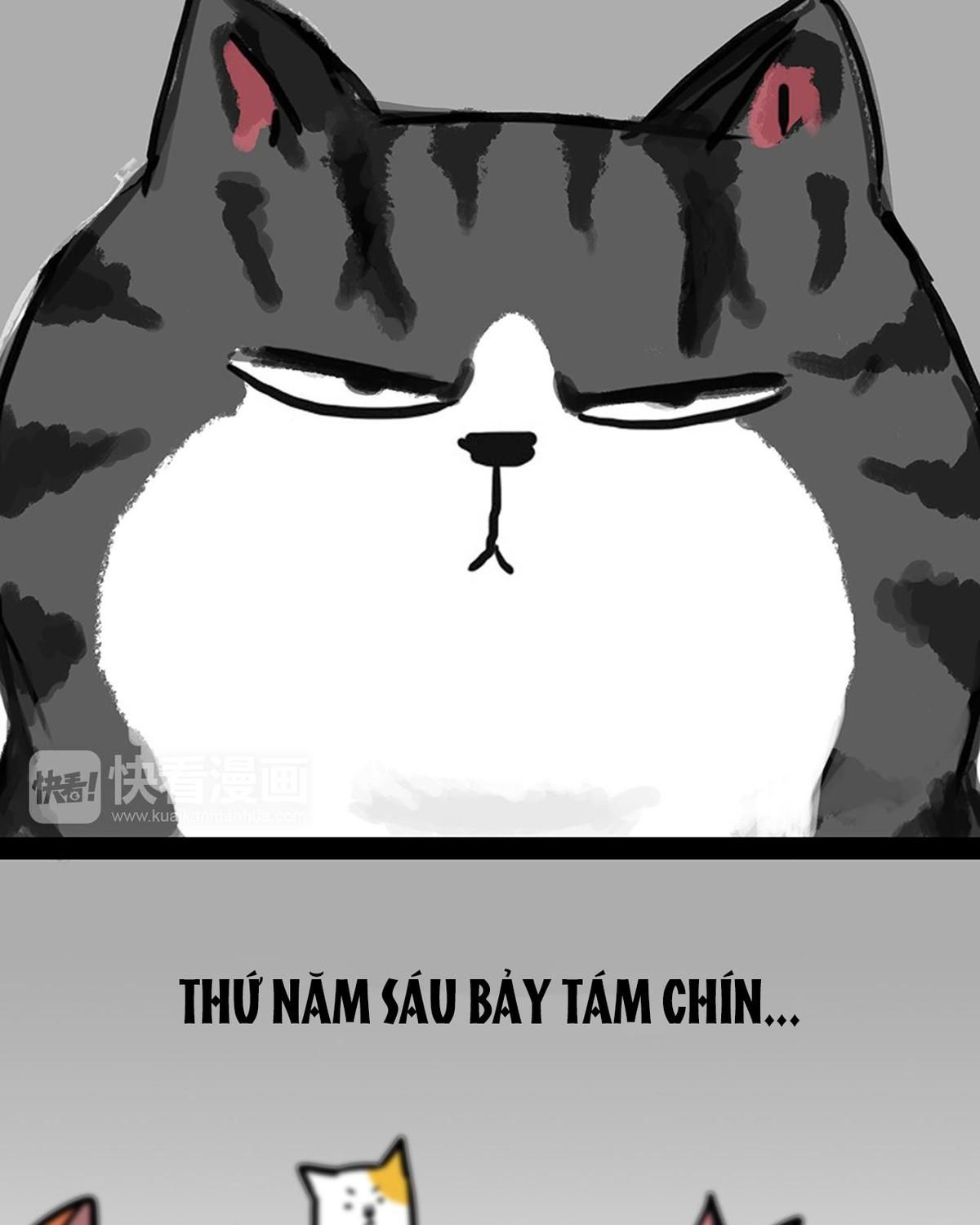 Hoàng Thượng Và Ba Trát Hắc Chapter 46 - Trang 2