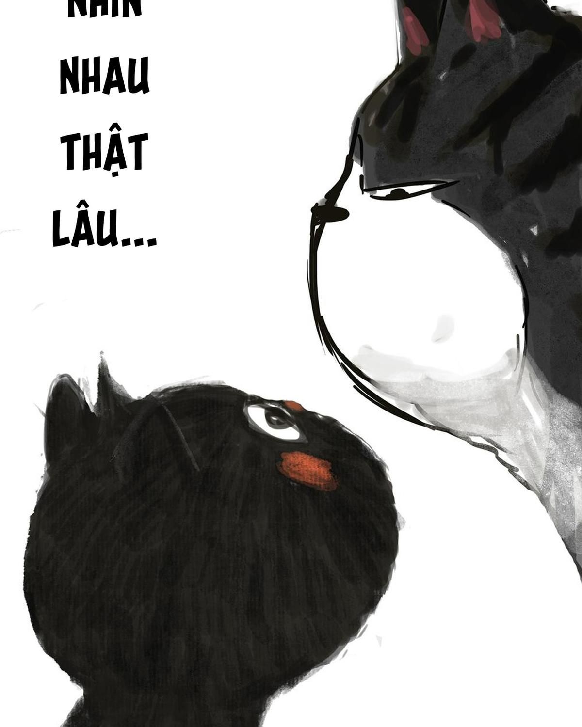 Hoàng Thượng Và Ba Trát Hắc Chapter 47 - Trang 2