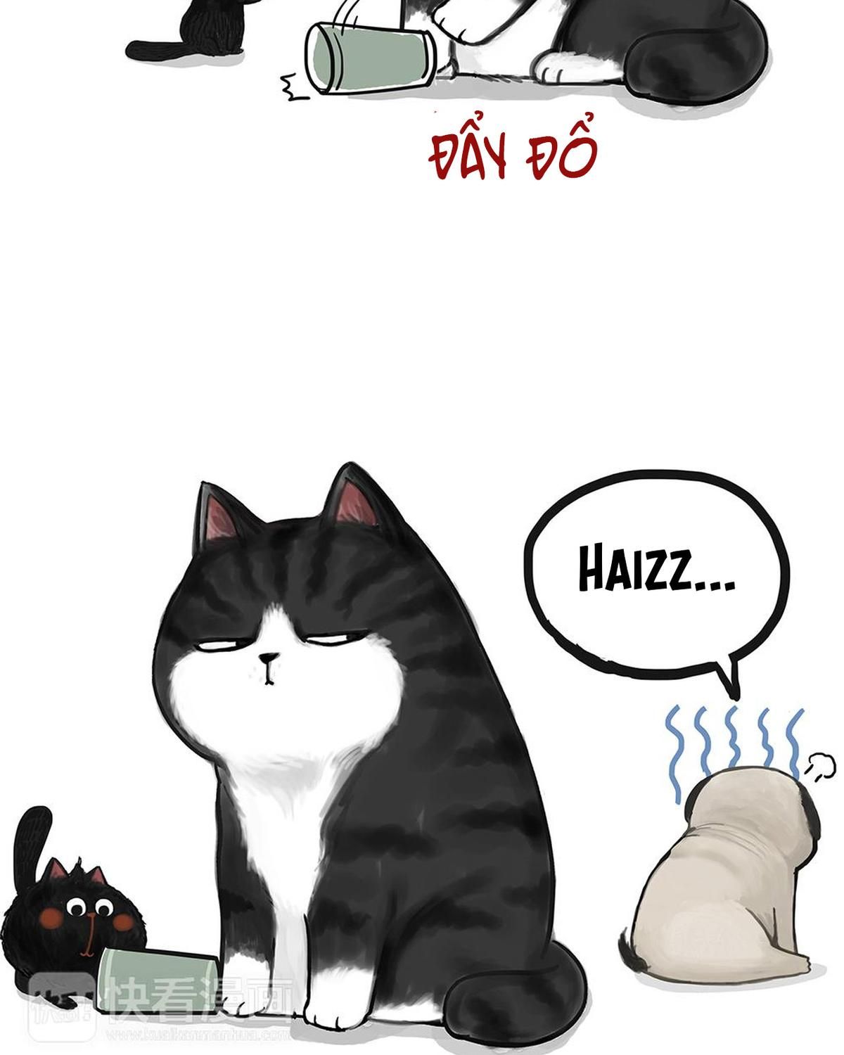 Hoàng Thượng Và Ba Trát Hắc Chapter 49 - Trang 2