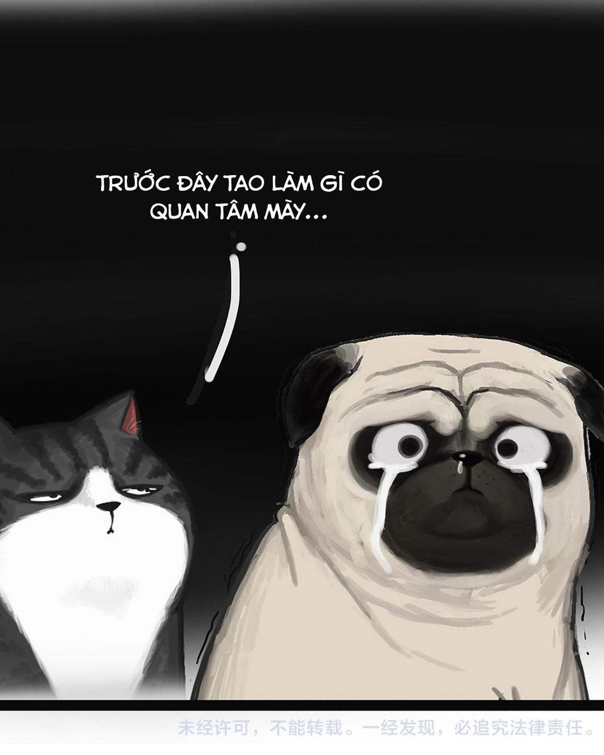 Hoàng Thượng Và Ba Trát Hắc Chapter 49 - Trang 2