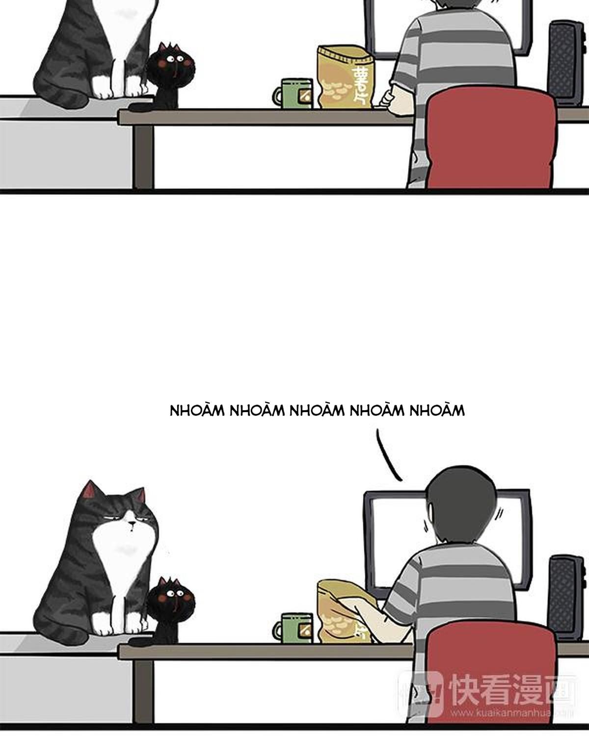 Hoàng Thượng Và Ba Trát Hắc Chapter 49 - Trang 2