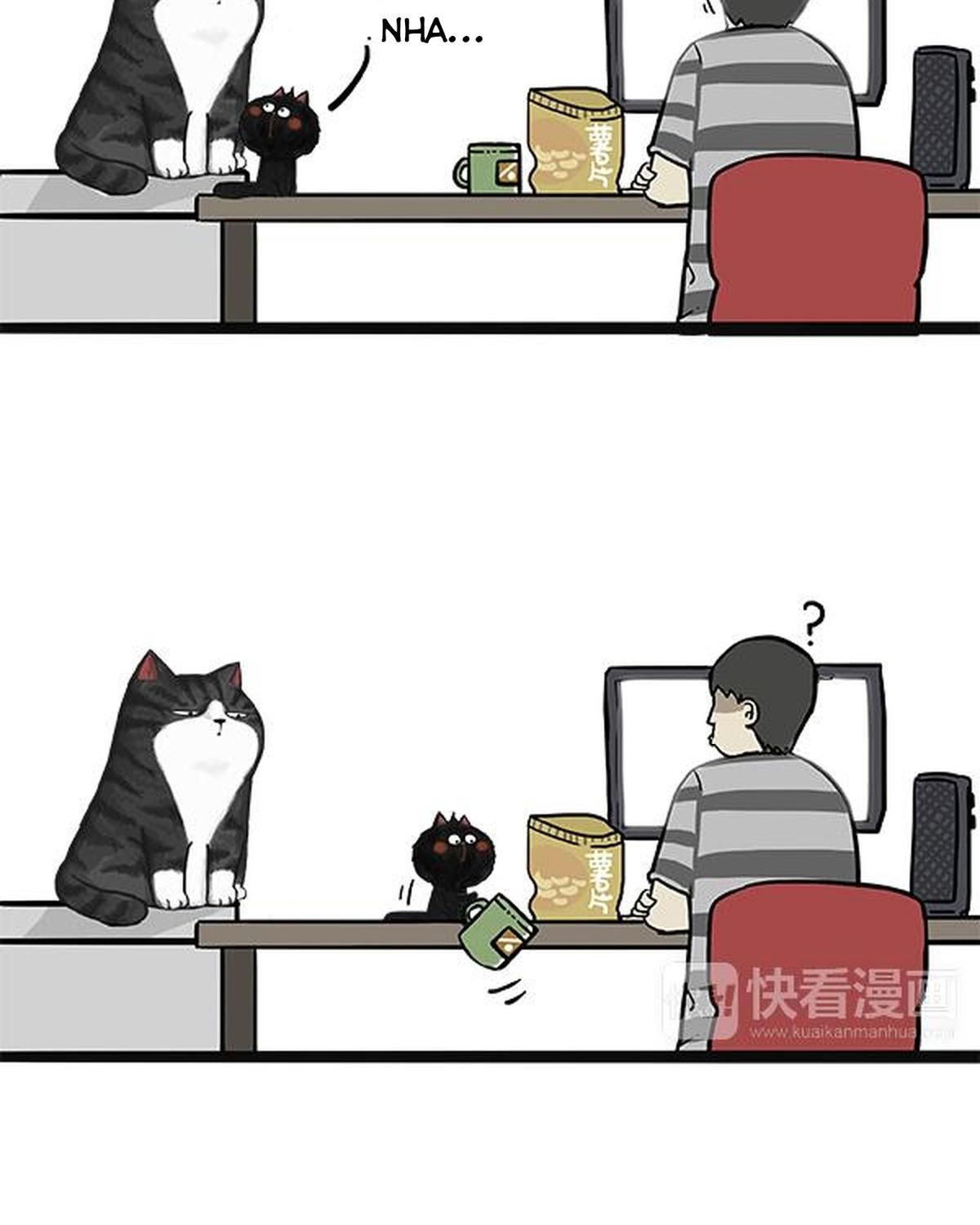 Hoàng Thượng Và Ba Trát Hắc Chapter 49 - Trang 2