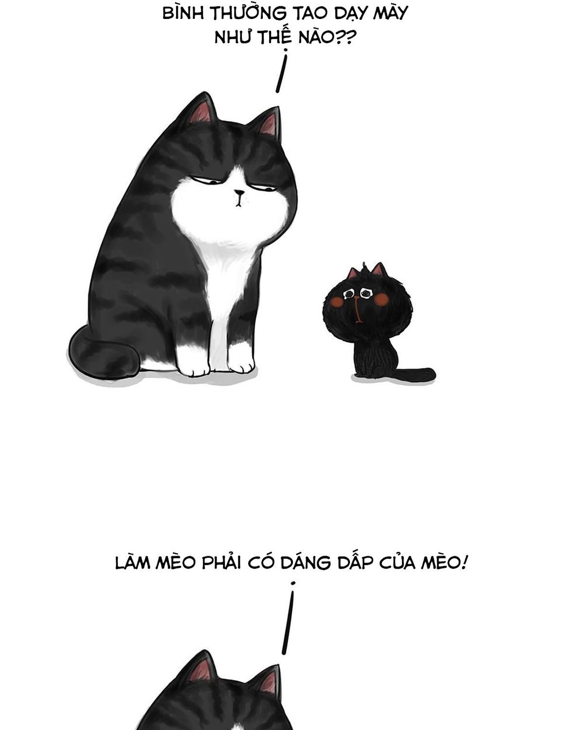 Hoàng Thượng Và Ba Trát Hắc Chapter 49 - Trang 2