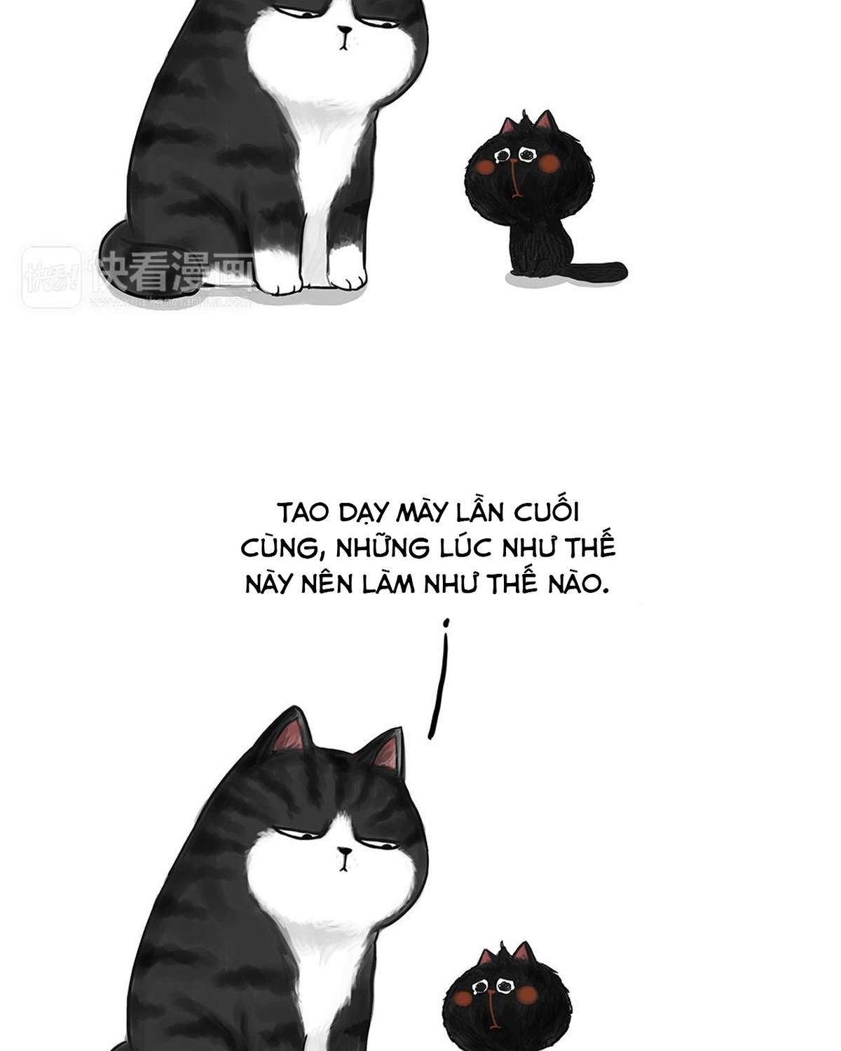 Hoàng Thượng Và Ba Trát Hắc Chapter 49 - Trang 2