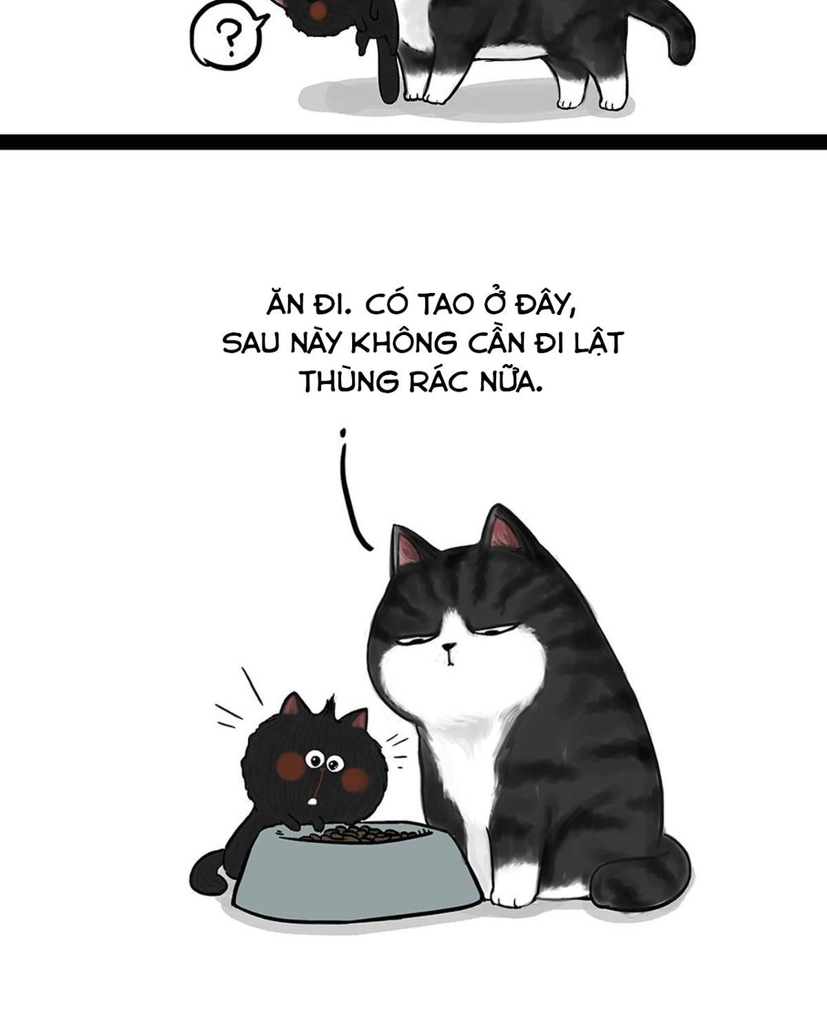 Hoàng Thượng Và Ba Trát Hắc Chapter 50 - Trang 2
