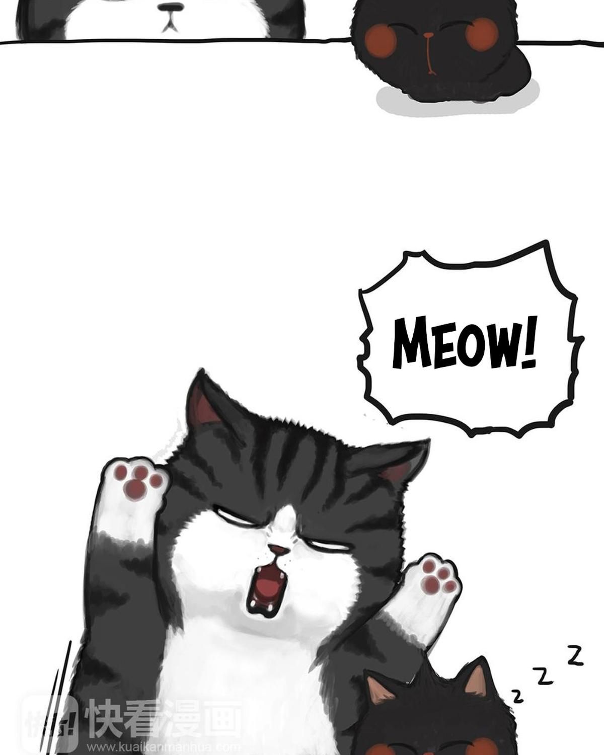 Hoàng Thượng Và Ba Trát Hắc Chapter 50 - Trang 2