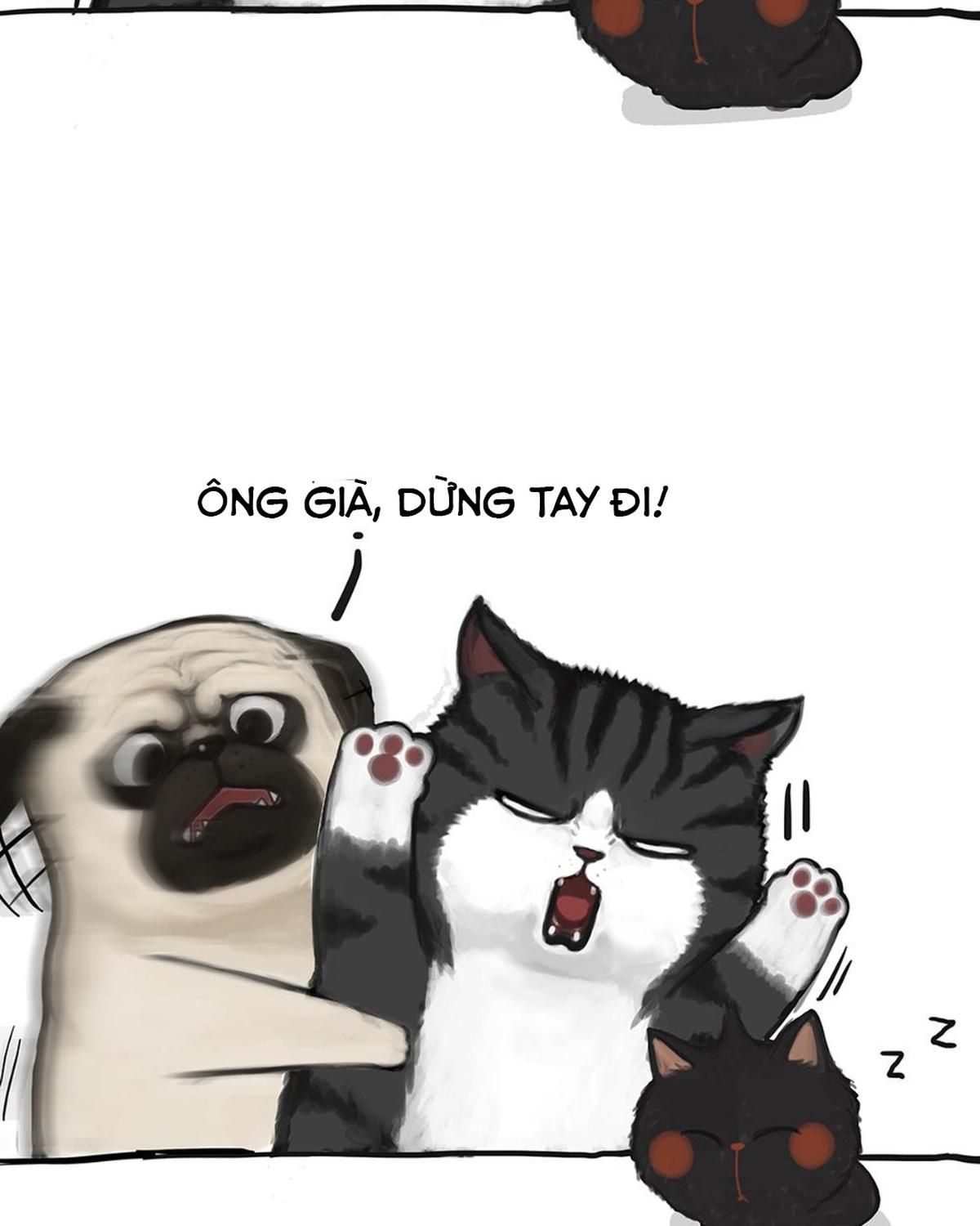 Hoàng Thượng Và Ba Trát Hắc Chapter 50 - Trang 2