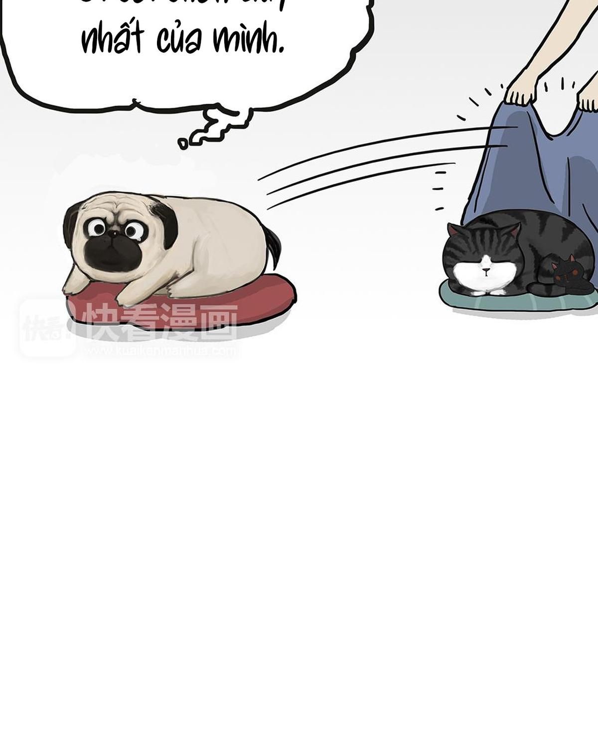 Hoàng Thượng Và Ba Trát Hắc Chapter 50 - Trang 2