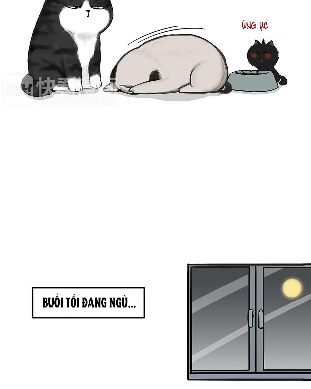 Hoàng Thượng Và Ba Trát Hắc Chapter 51 - Trang 2