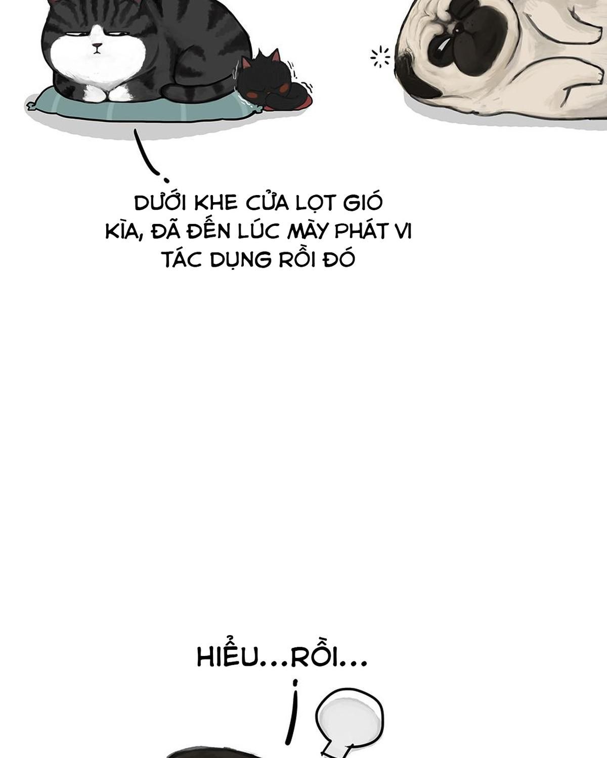 Hoàng Thượng Và Ba Trát Hắc Chapter 51 - Trang 2