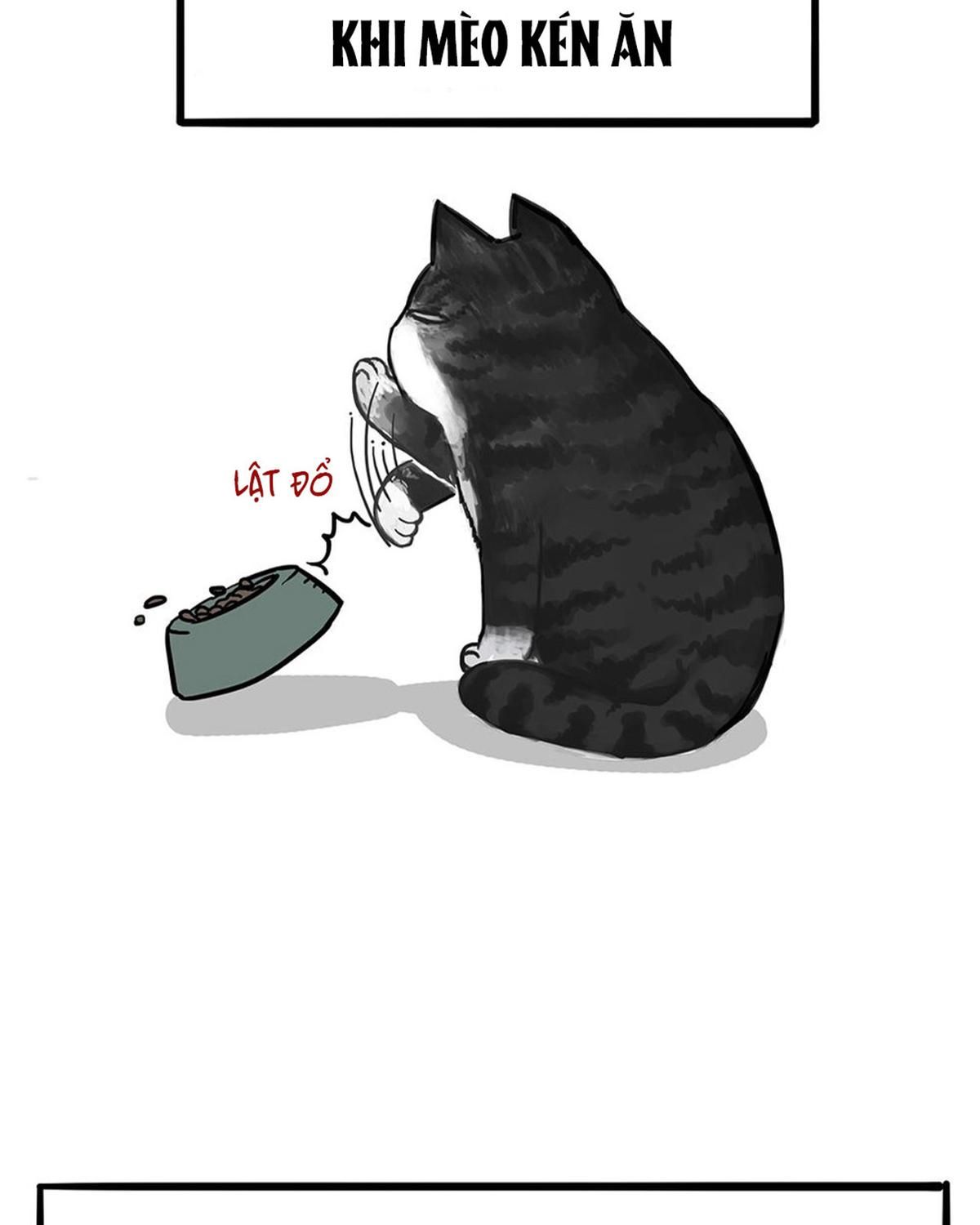 Hoàng Thượng Và Ba Trát Hắc Chapter 51 - Trang 2