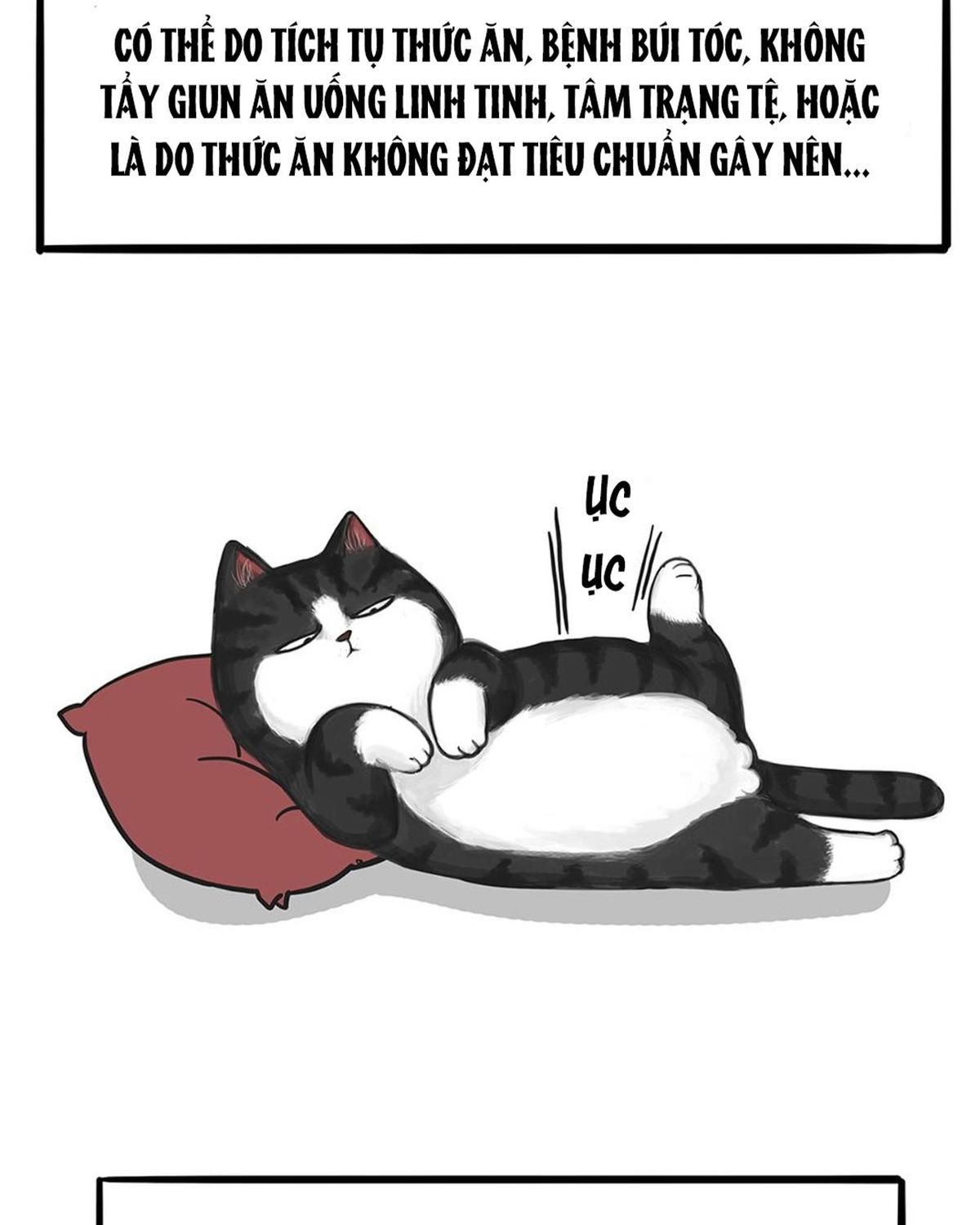 Hoàng Thượng Và Ba Trát Hắc Chapter 51 - Trang 2