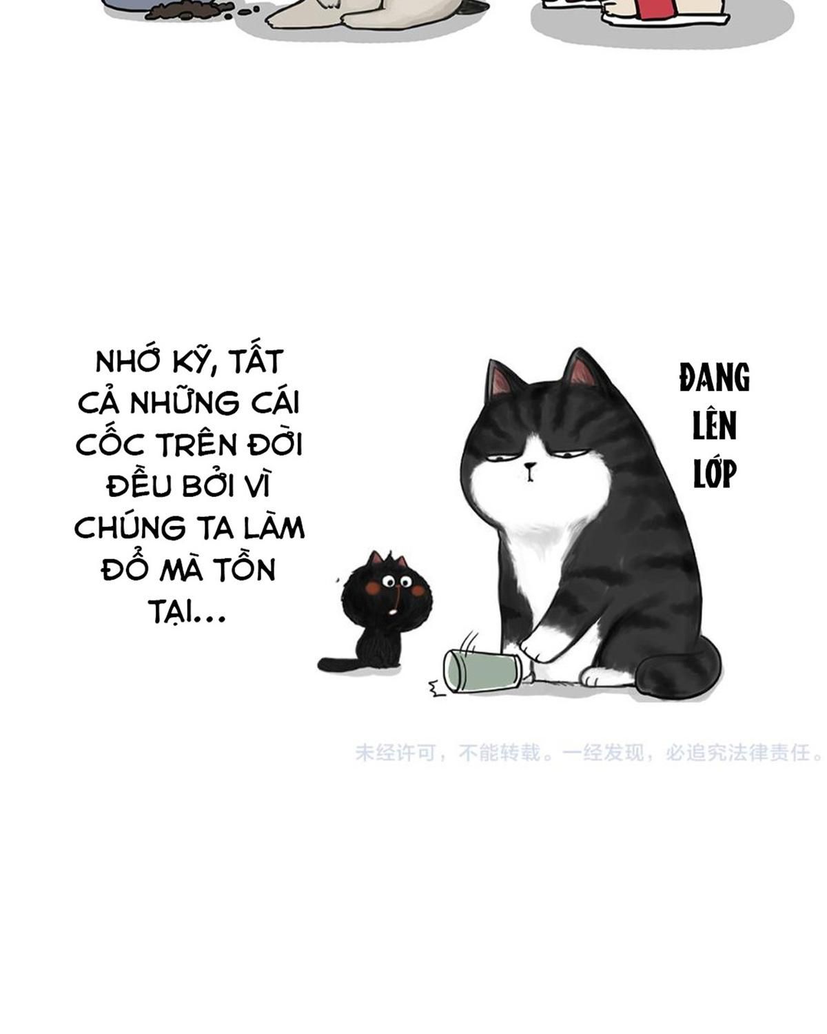 Hoàng Thượng Và Ba Trát Hắc Chapter 51 - Trang 2