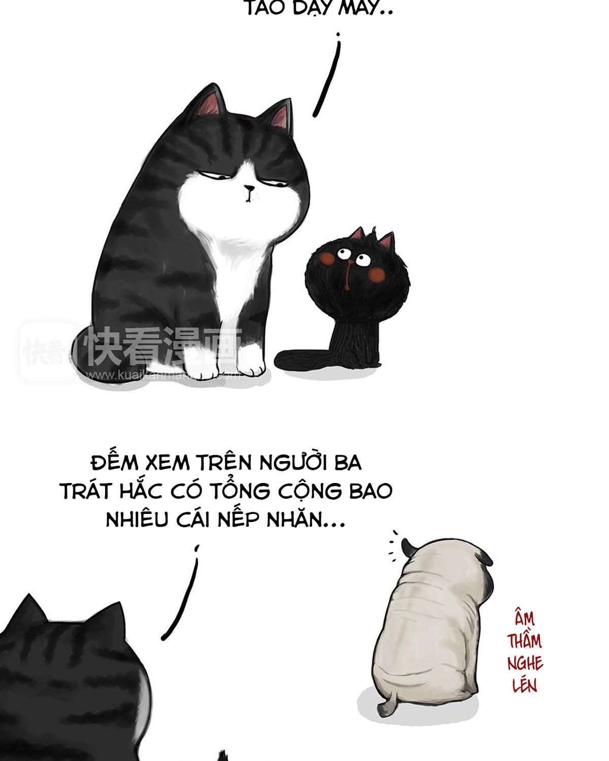 Hoàng Thượng Và Ba Trát Hắc Chapter 51 - Trang 2