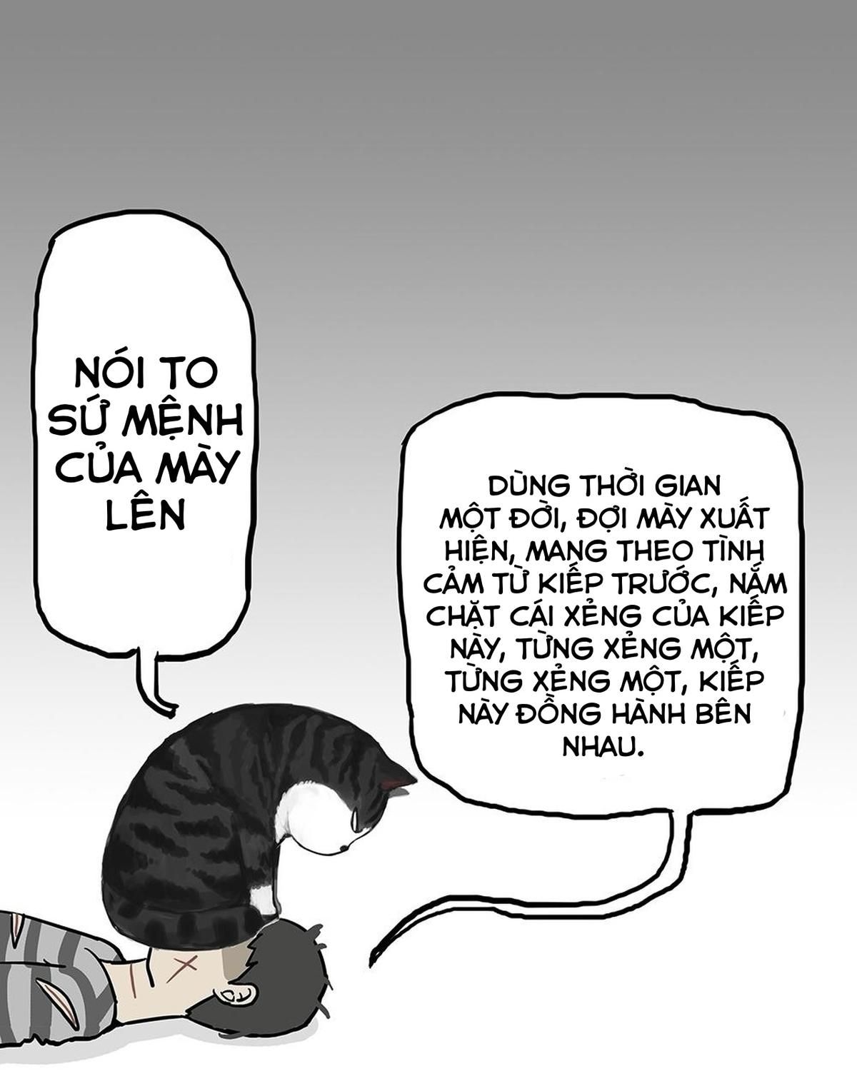 Hoàng Thượng Và Ba Trát Hắc Chapter 52 - Trang 2