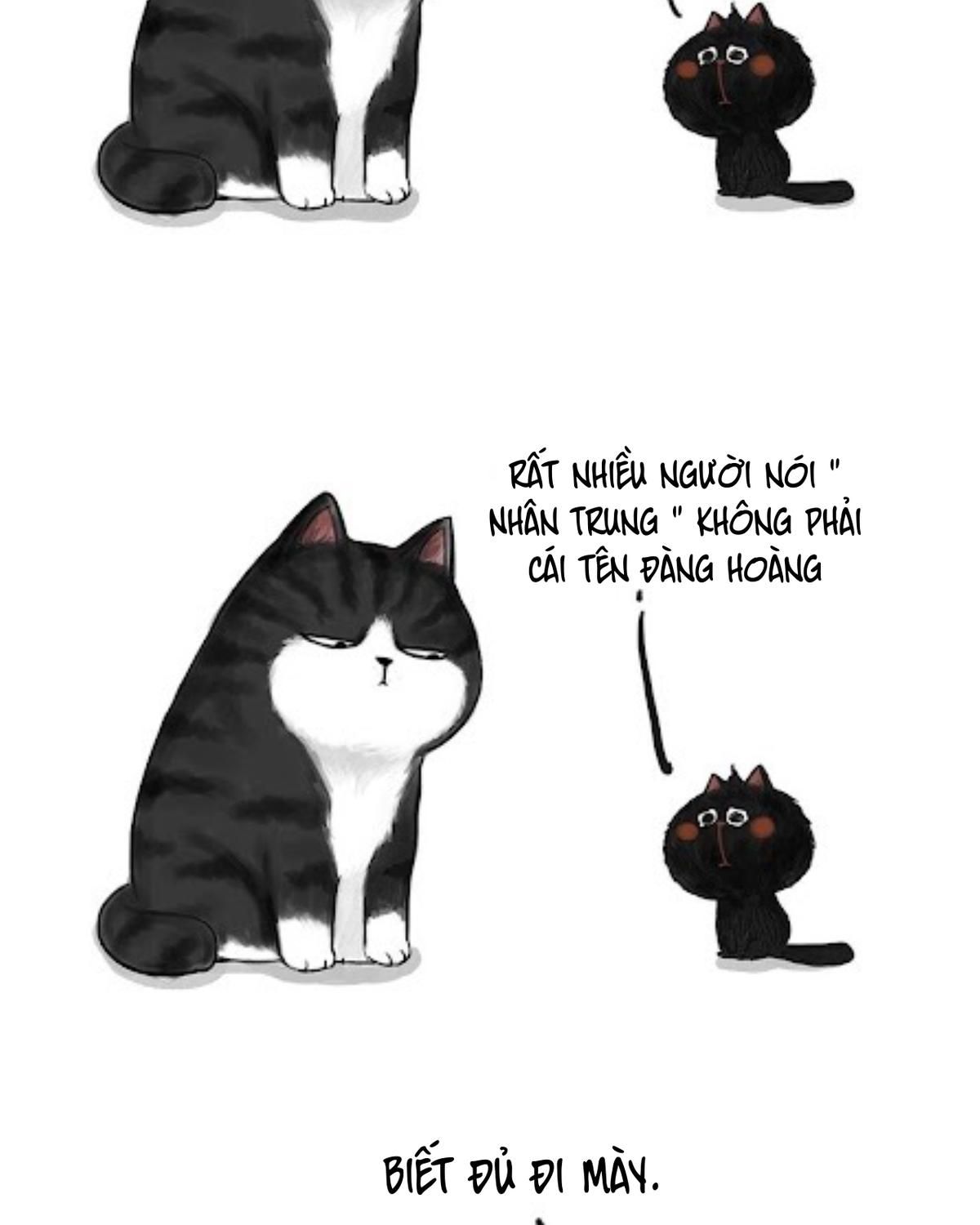 Hoàng Thượng Và Ba Trát Hắc Chapter 53 - Trang 2