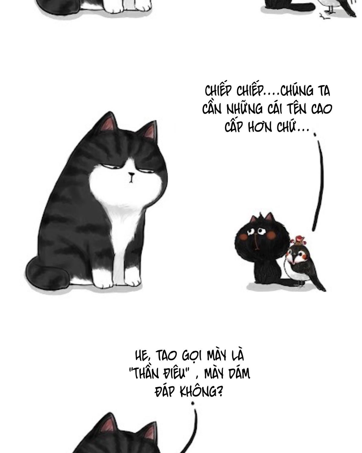 Hoàng Thượng Và Ba Trát Hắc Chapter 53 - Trang 2
