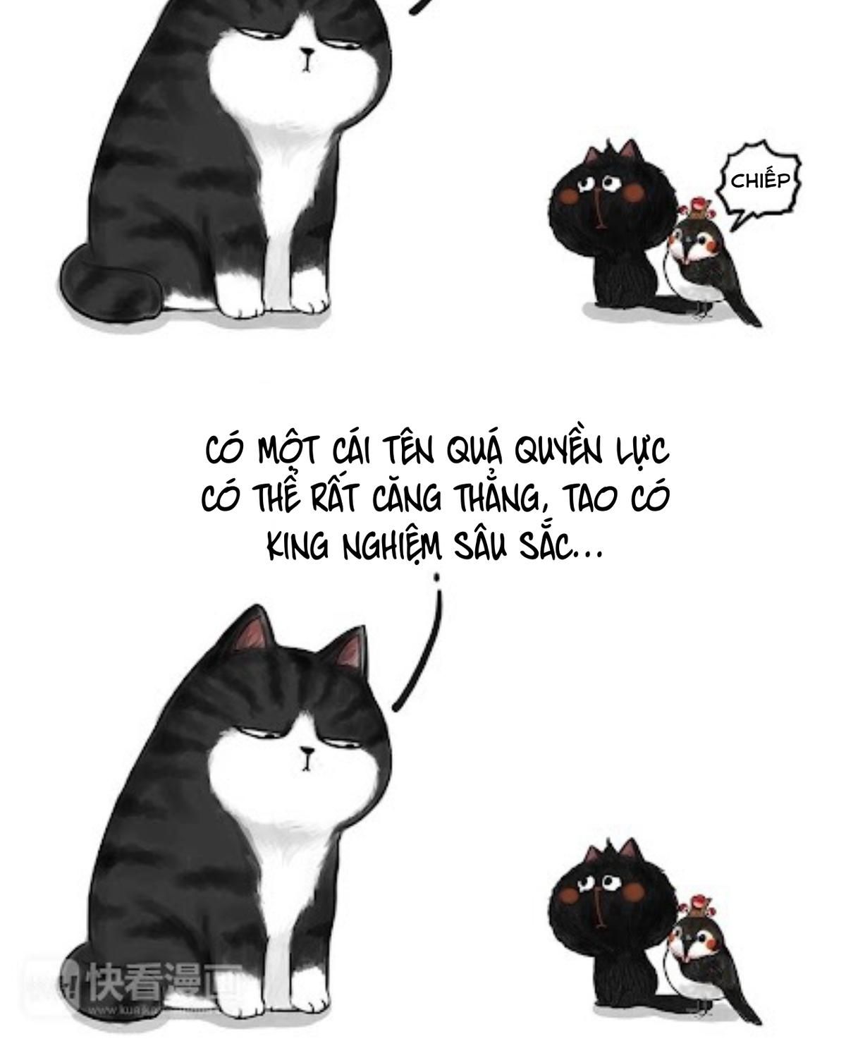 Hoàng Thượng Và Ba Trát Hắc Chapter 53 - Trang 2