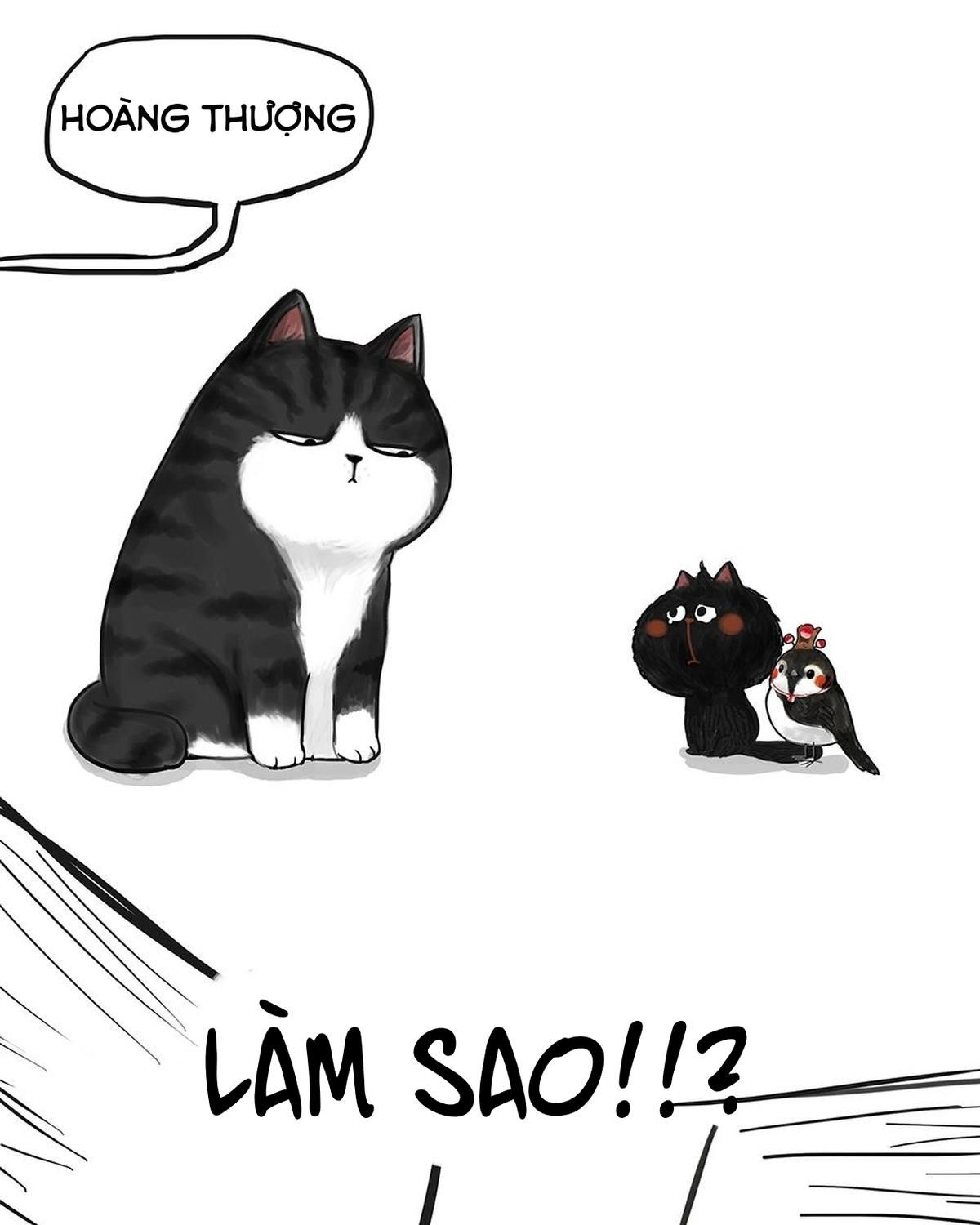 Hoàng Thượng Và Ba Trát Hắc Chapter 53 - Trang 2