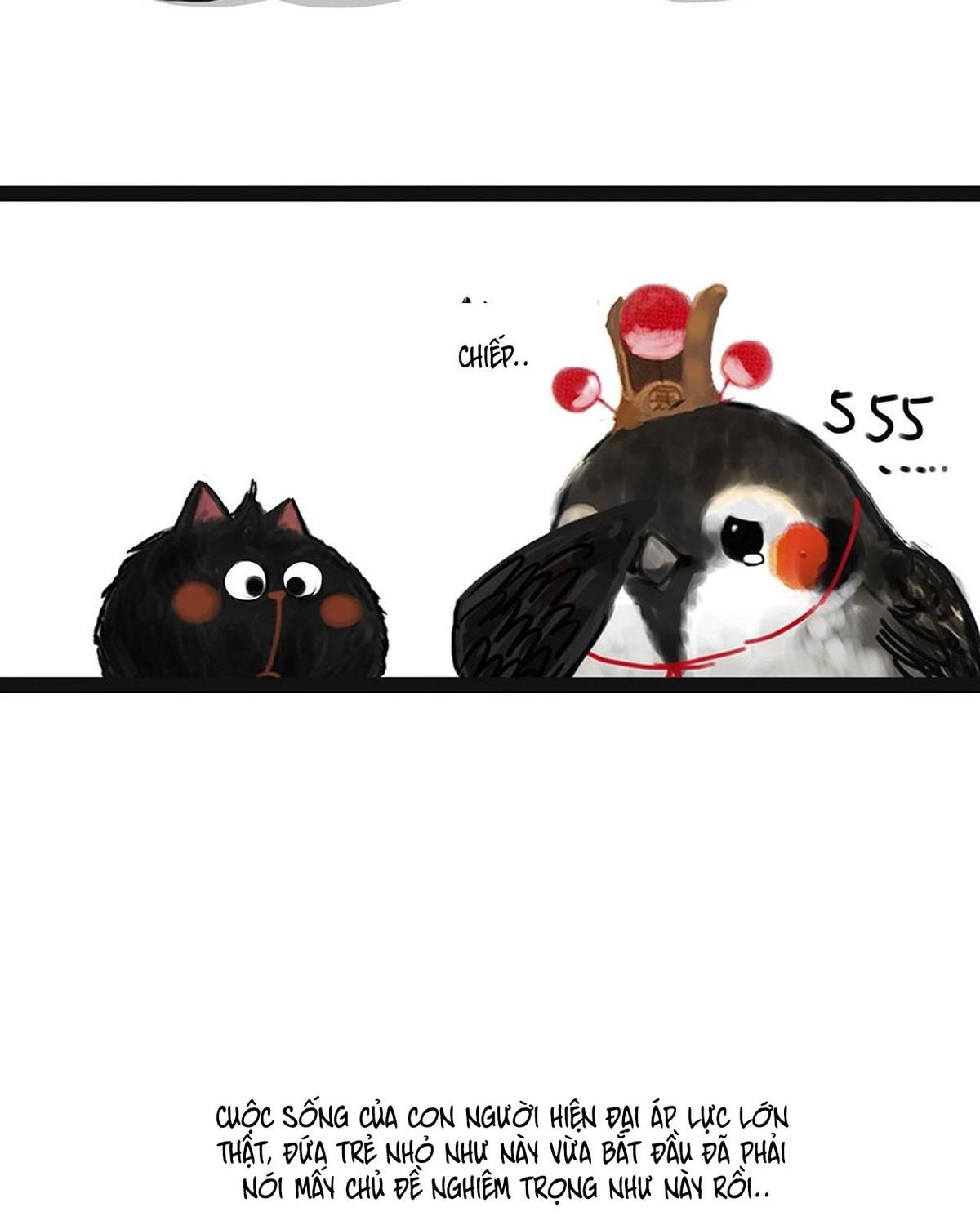 Hoàng Thượng Và Ba Trát Hắc Chapter 54 - Trang 2