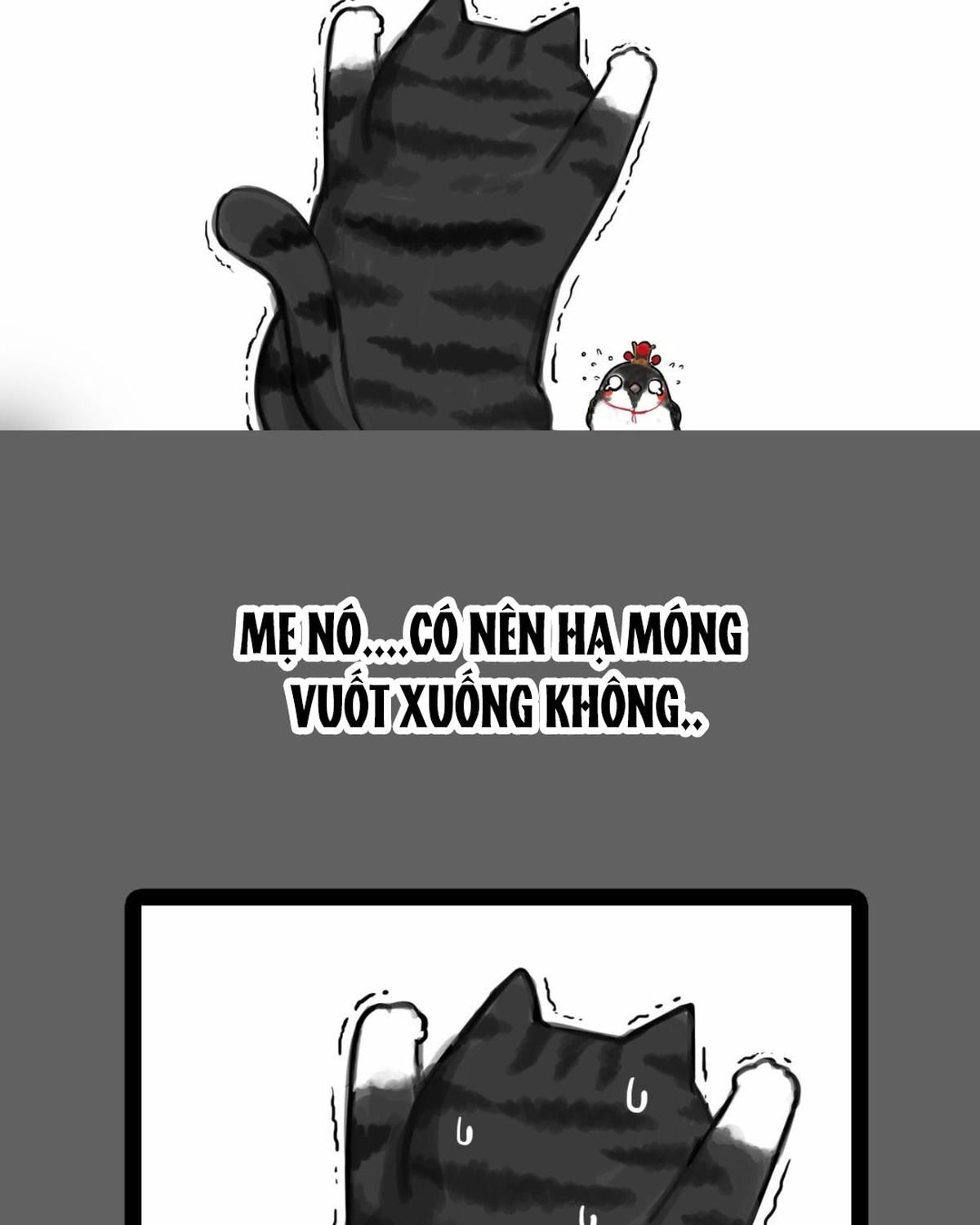 Hoàng Thượng Và Ba Trát Hắc Chapter 55 - Trang 2