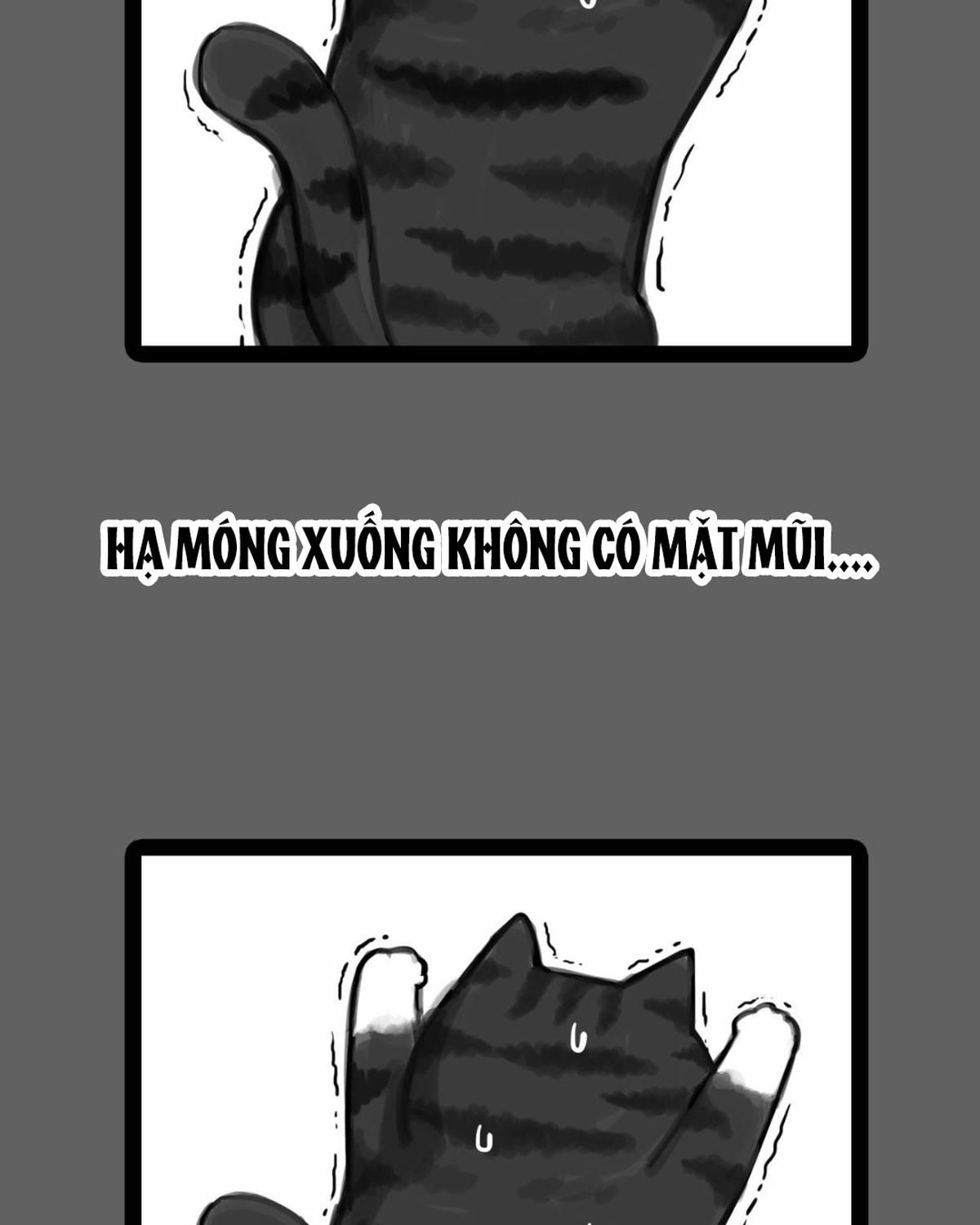 Hoàng Thượng Và Ba Trát Hắc Chapter 55 - Trang 2