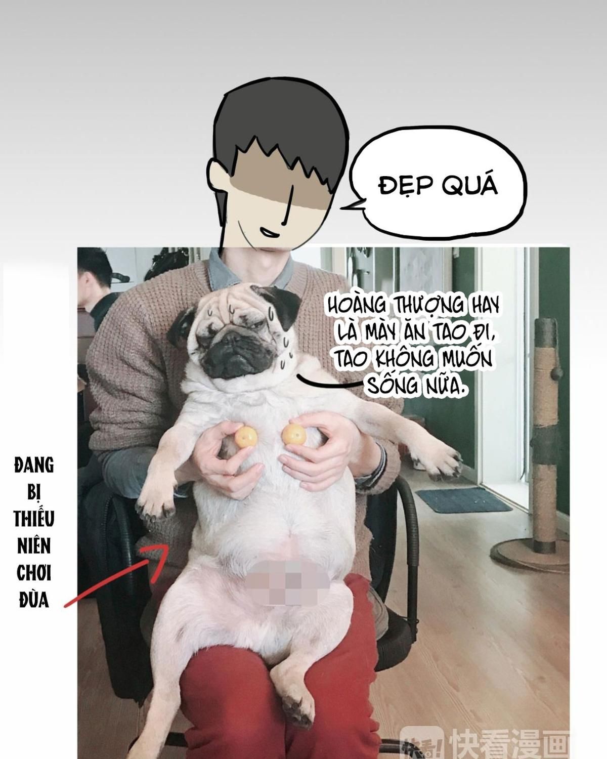 Hoàng Thượng Và Ba Trát Hắc Chapter 55 - Trang 2