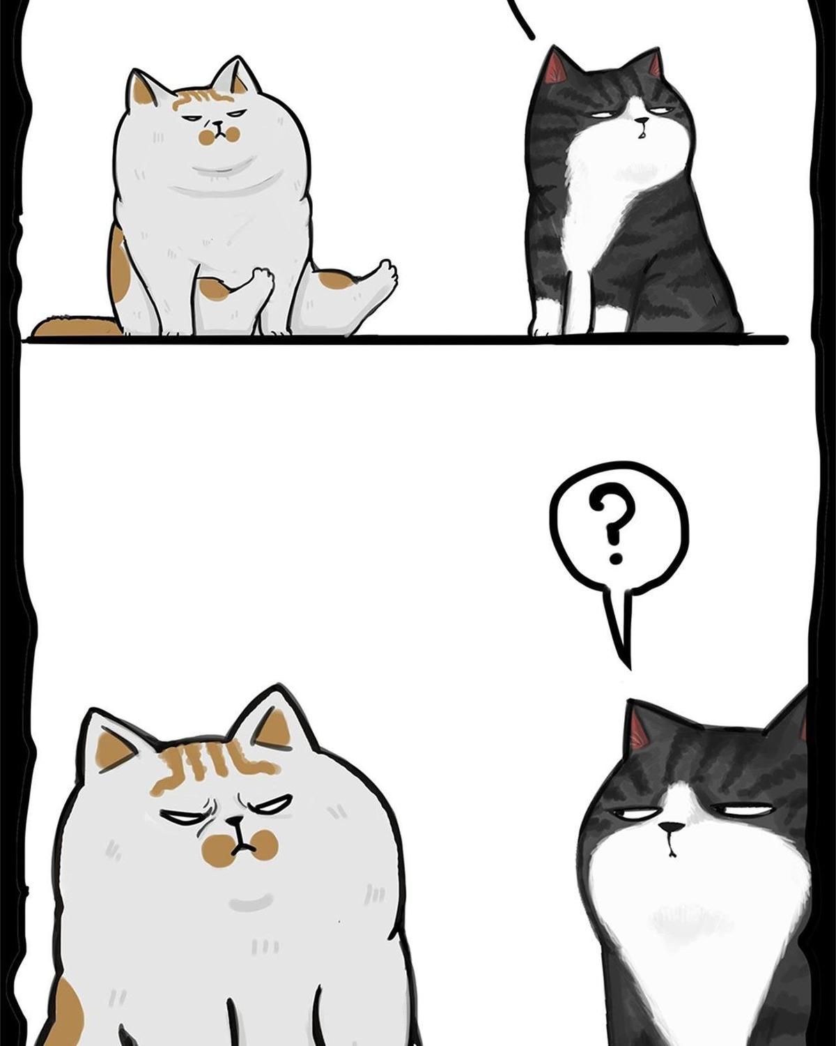 Hoàng Thượng Và Ba Trát Hắc Chapter 58 - Trang 2