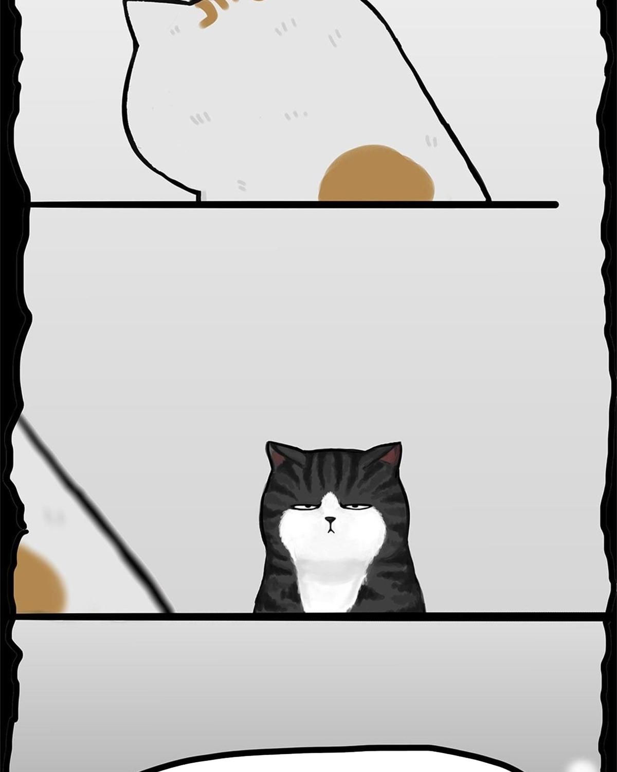 Hoàng Thượng Và Ba Trát Hắc Chapter 58 - Trang 2