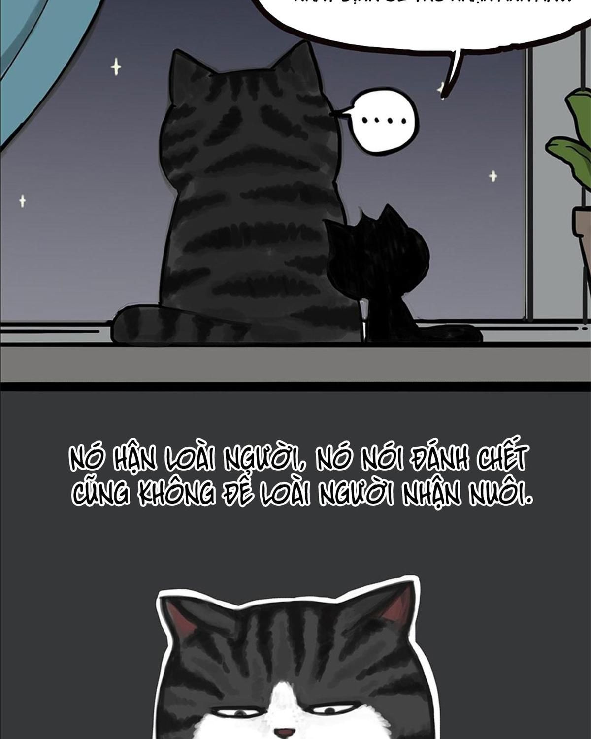 Hoàng Thượng Và Ba Trát Hắc Chapter 58 - Trang 2