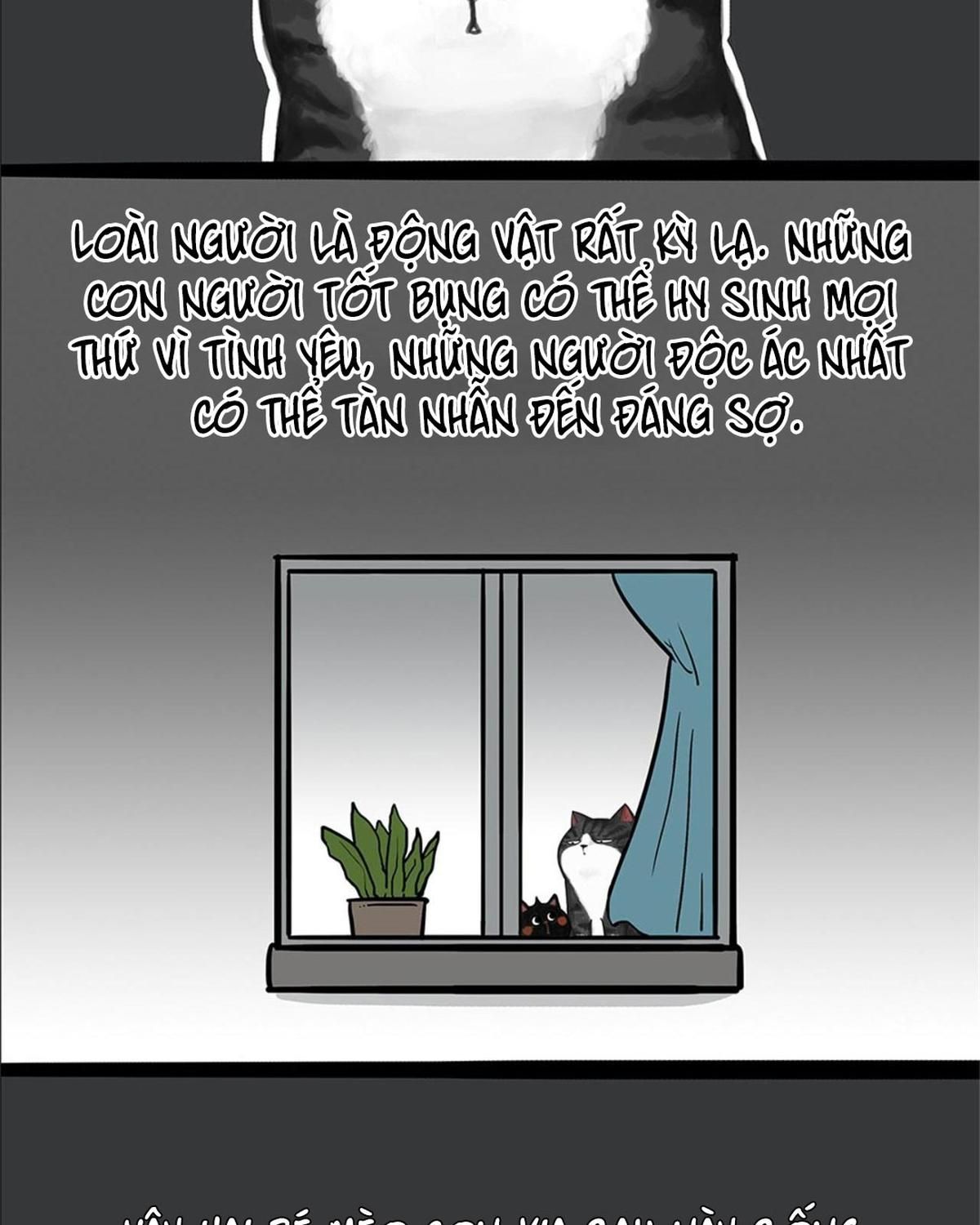 Hoàng Thượng Và Ba Trát Hắc Chapter 58 - Trang 2