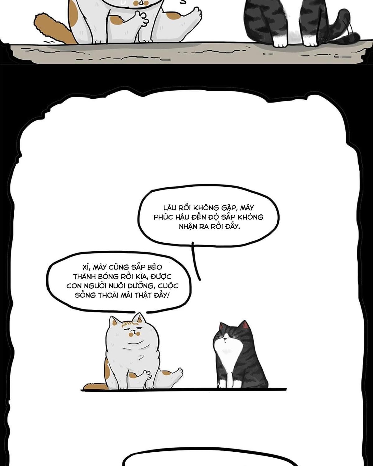 Hoàng Thượng Và Ba Trát Hắc Chapter 58 - Trang 2