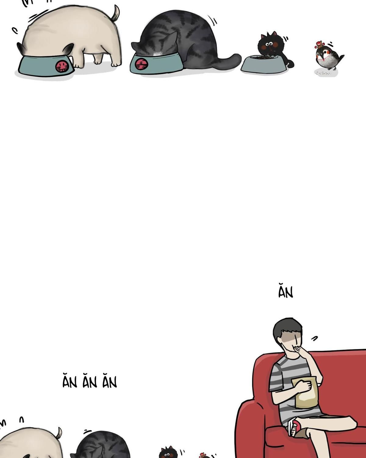 Hoàng Thượng Và Ba Trát Hắc Chapter 59 - Trang 2