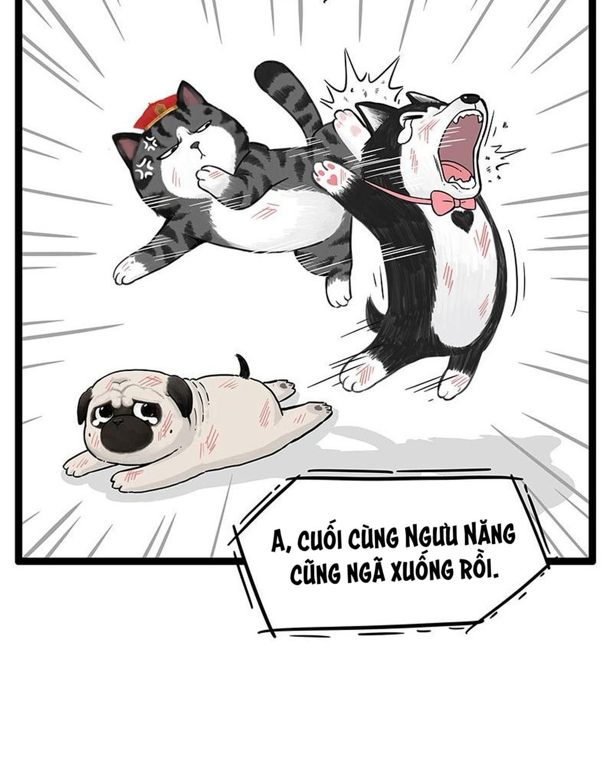 Hoàng Thượng Và Ba Trát Hắc Chapter 254 - Trang 2