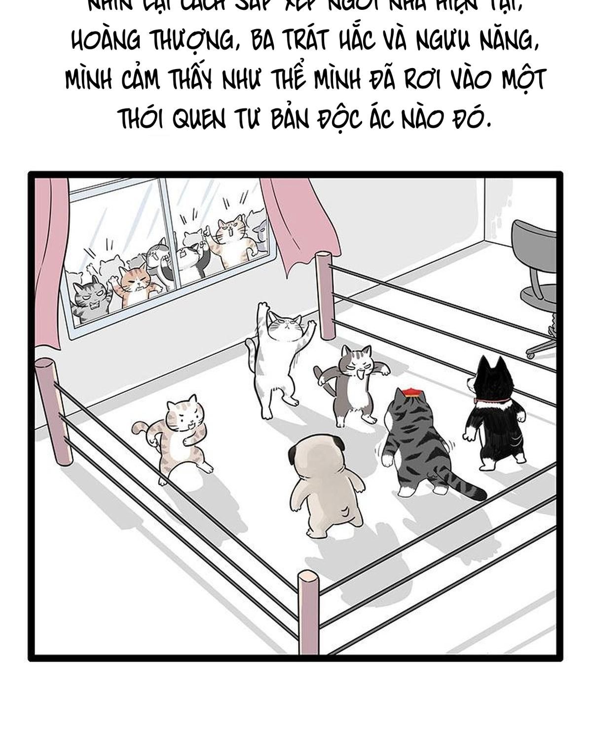 Hoàng Thượng Và Ba Trát Hắc Chapter 254 - Trang 2