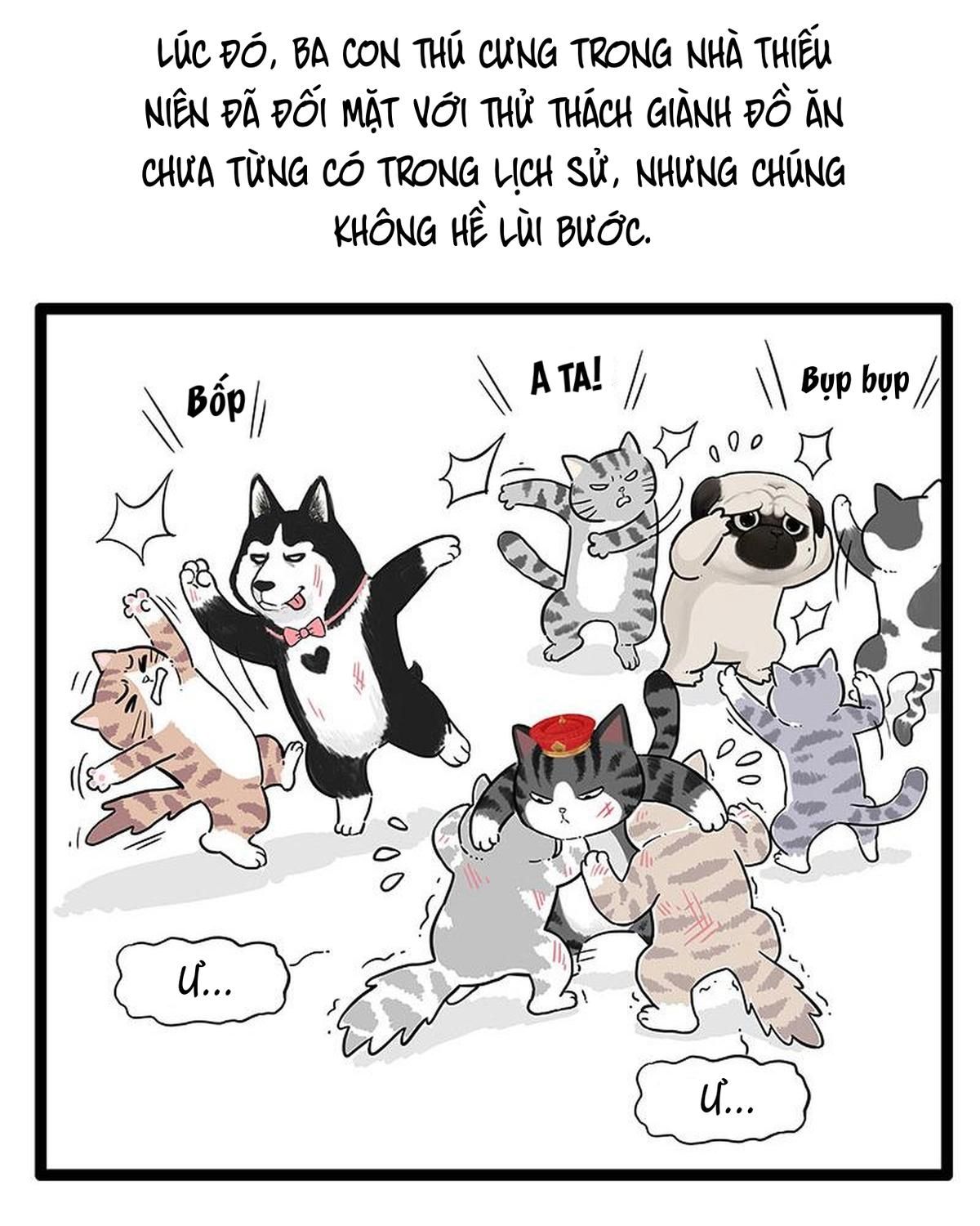 Hoàng Thượng Và Ba Trát Hắc Chapter 254 - Trang 2