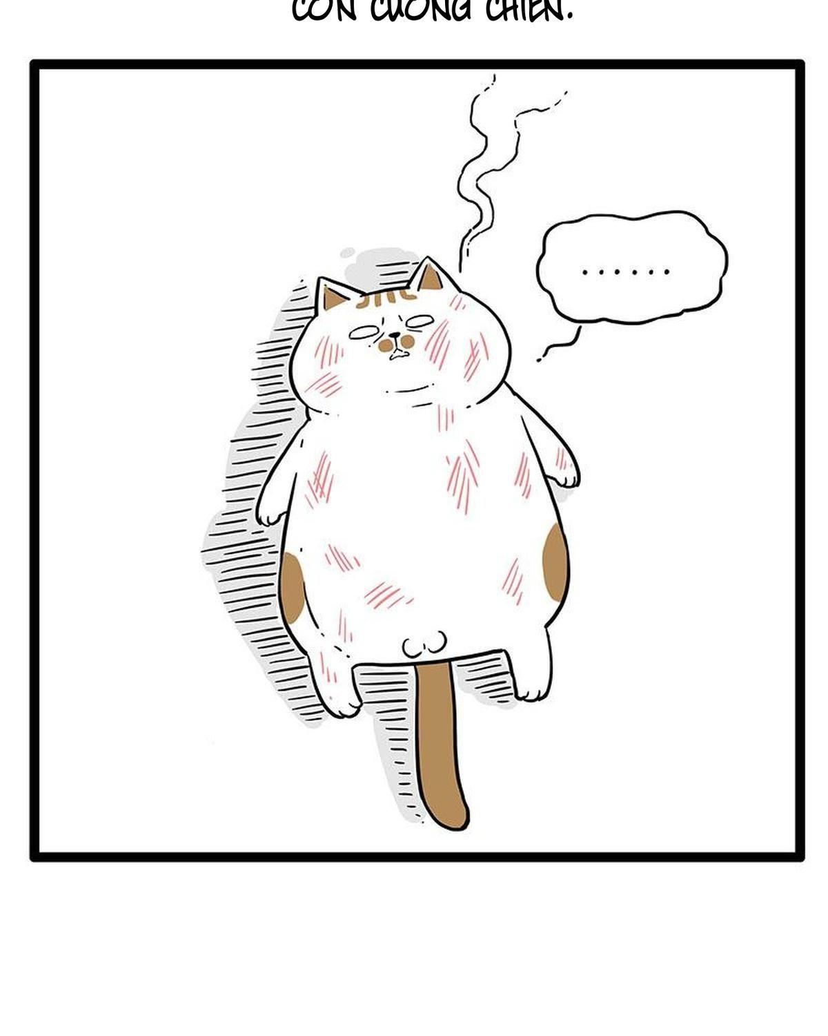 Hoàng Thượng Và Ba Trát Hắc Chapter 254 - Trang 2