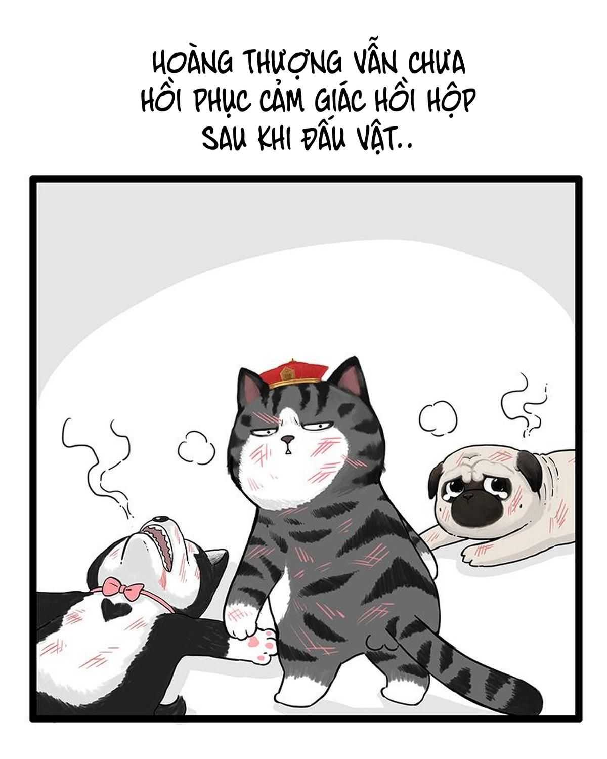 Hoàng Thượng Và Ba Trát Hắc Chapter 254 - Trang 2