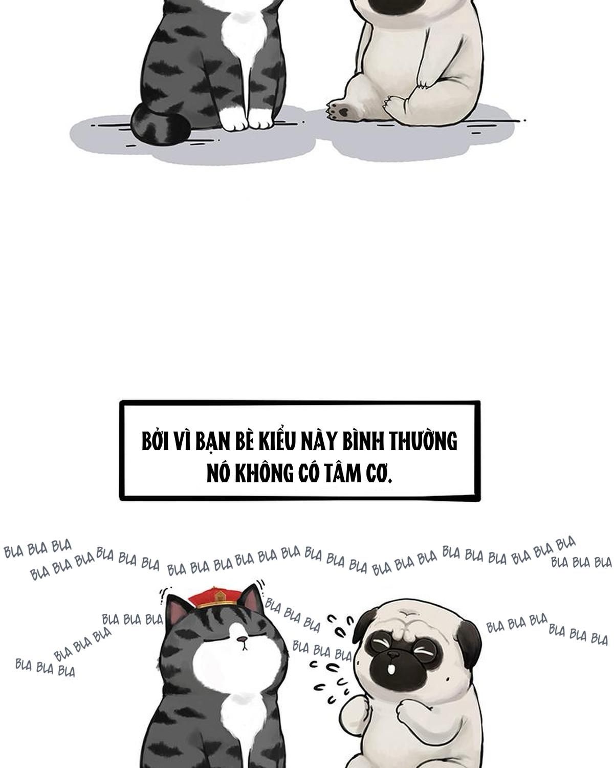 Hoàng Thượng Và Ba Trát Hắc Chapter 256 - Trang 2