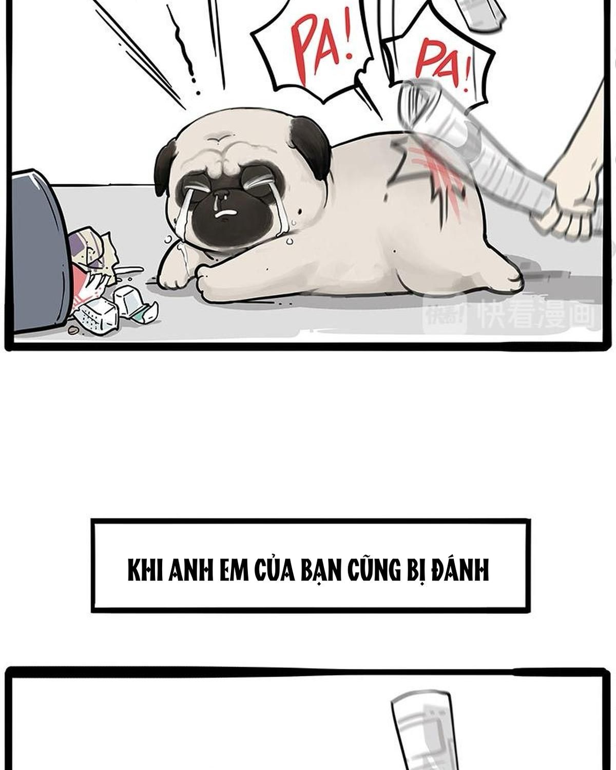 Hoàng Thượng Và Ba Trát Hắc Chapter 256 - Trang 2