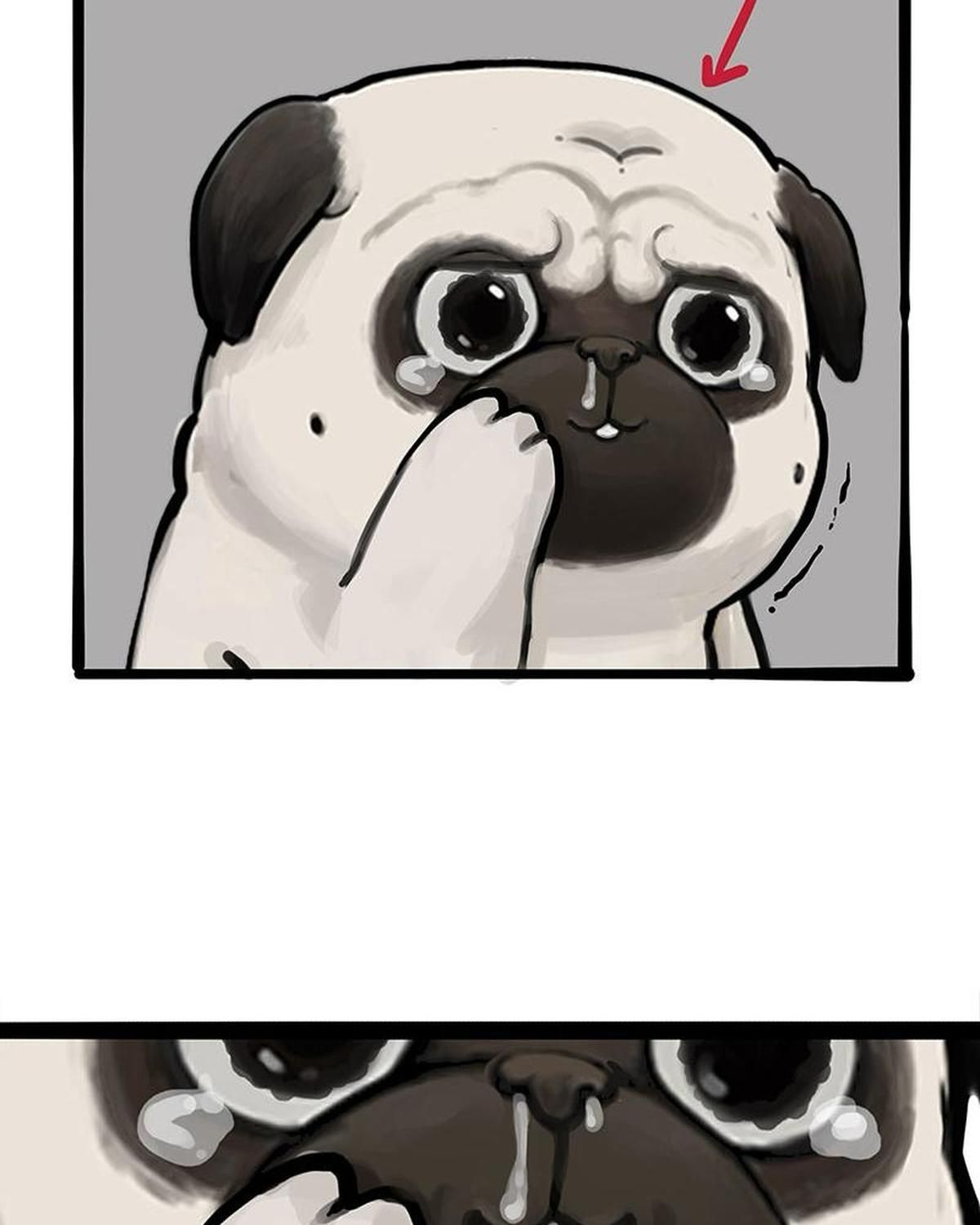 Hoàng Thượng Và Ba Trát Hắc Chapter 256 - Trang 2