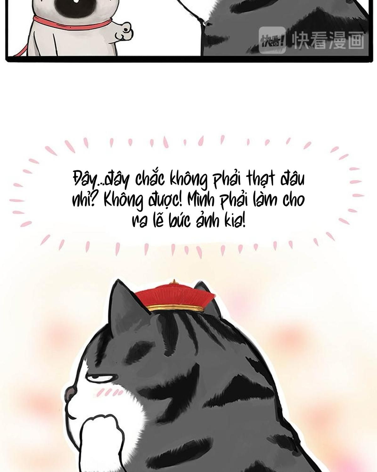Hoàng Thượng Và Ba Trát Hắc Chapter 258 - Trang 2