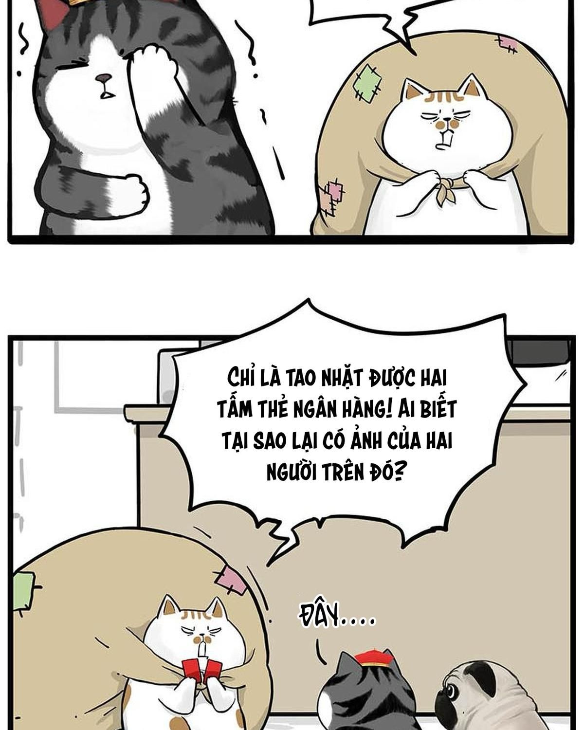 Hoàng Thượng Và Ba Trát Hắc Chapter 258 - Trang 2