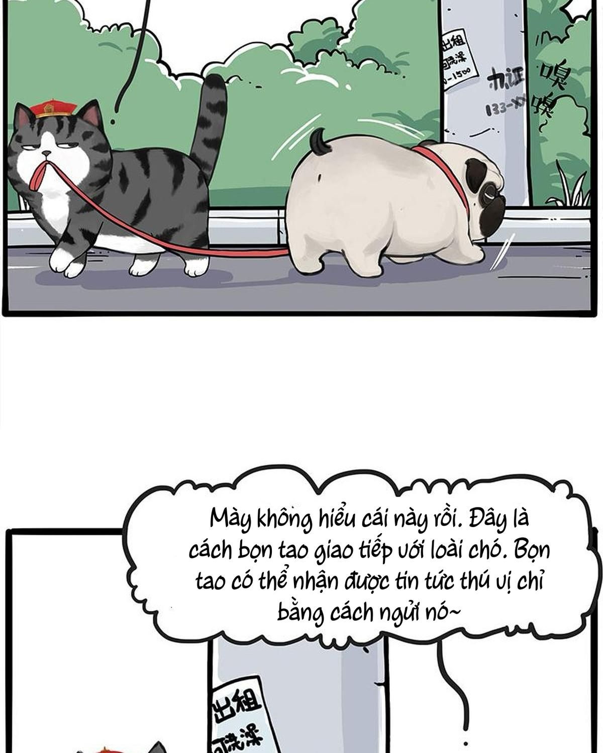 Hoàng Thượng Và Ba Trát Hắc Chapter 258 - Trang 2